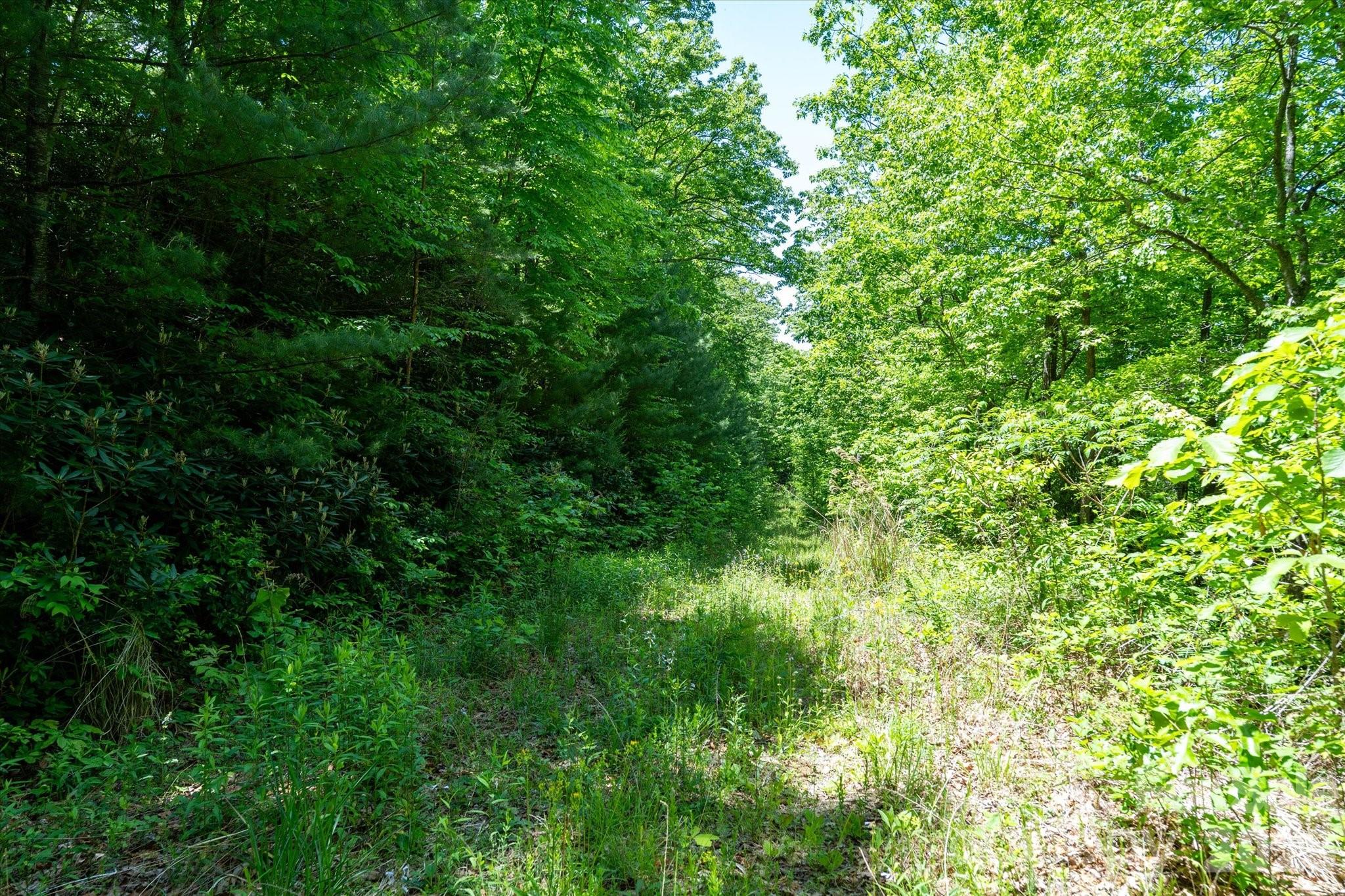 Winding Ridge Estates - Land