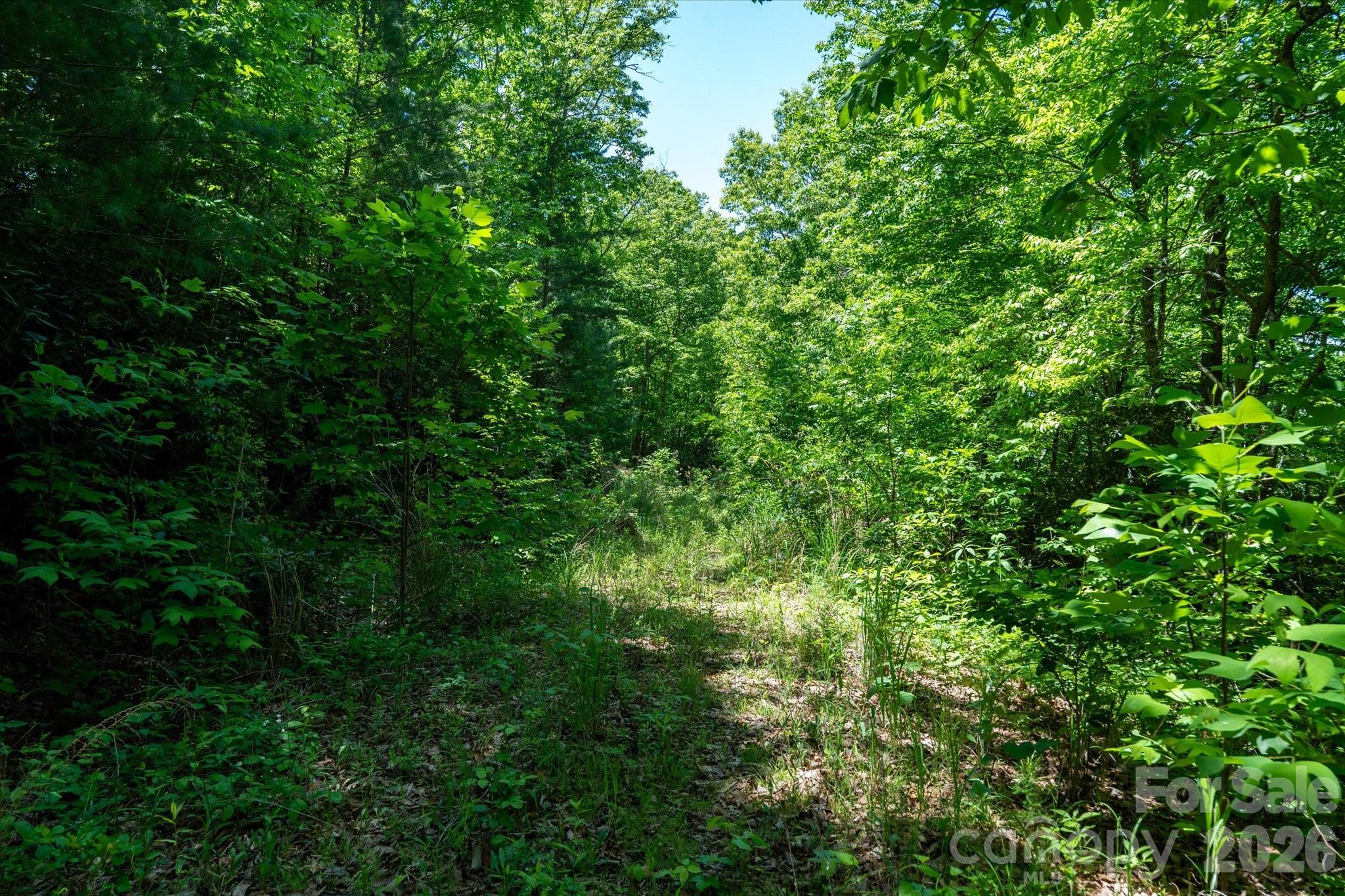 Winding Ridge Estates - Land
