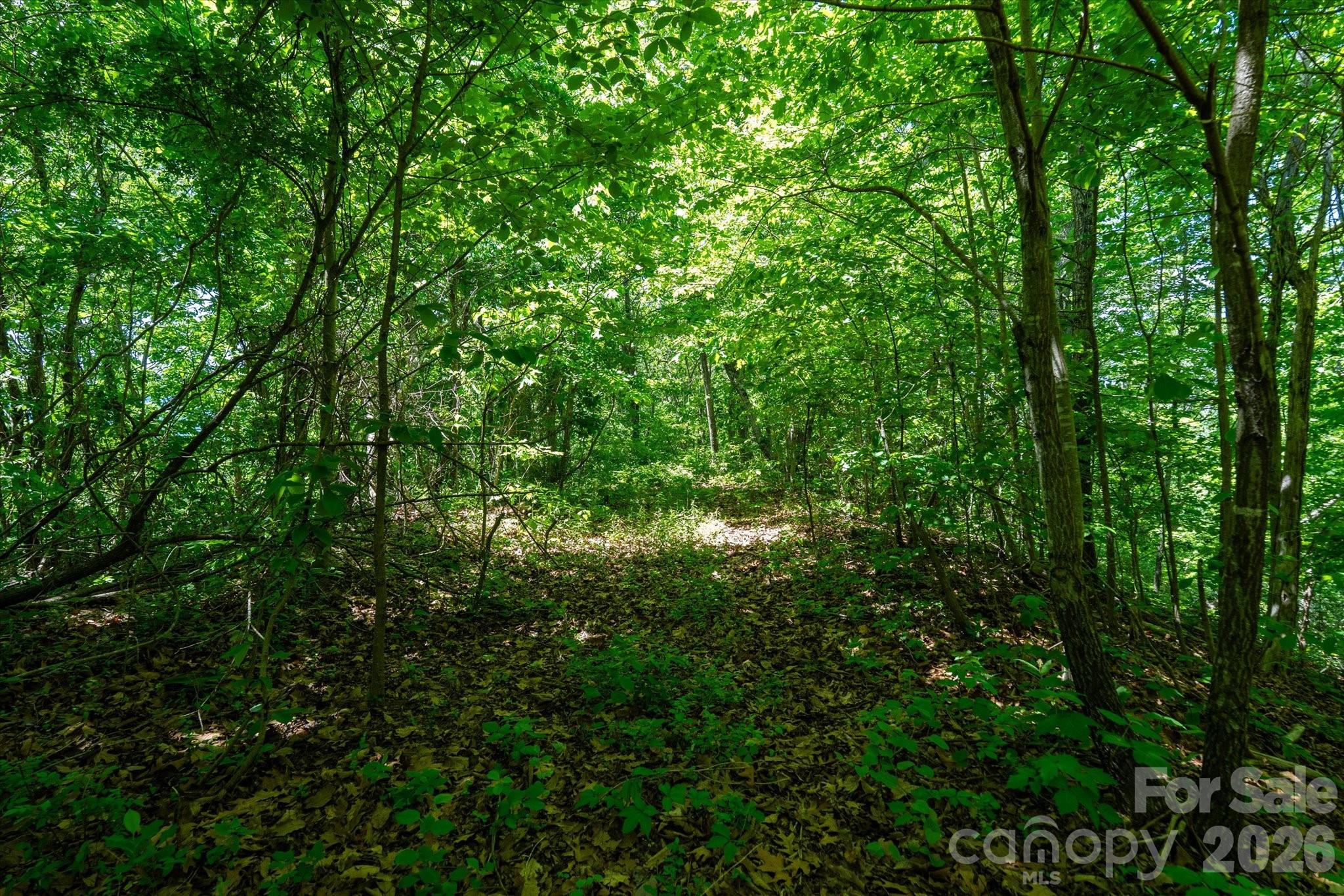 Winding Ridge Estates - Land