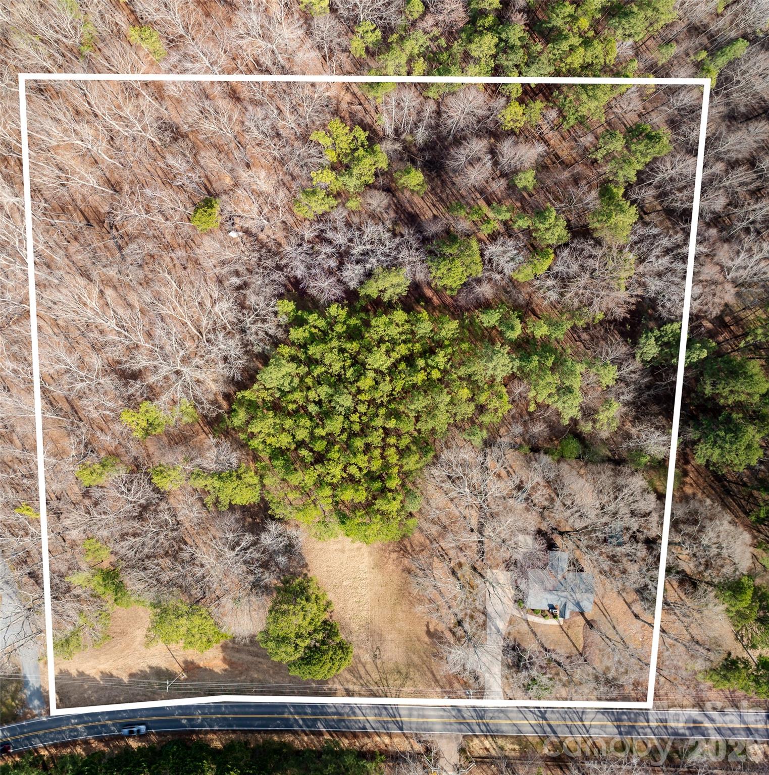 3109 Forest Lawn Drive