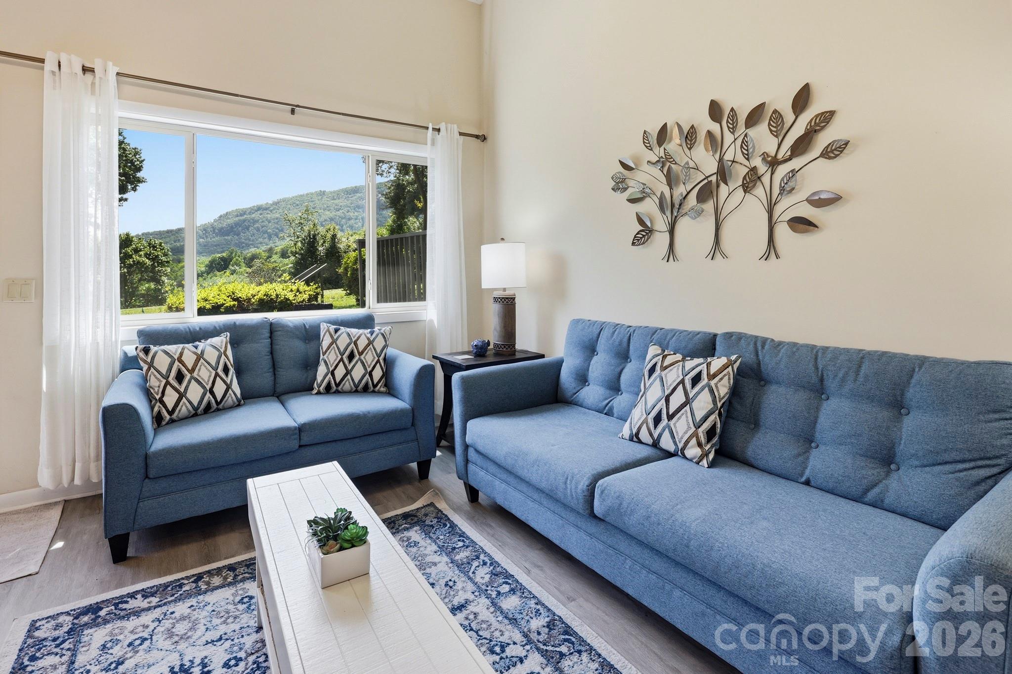 Rumbling Bald on Lake Lure - Residential