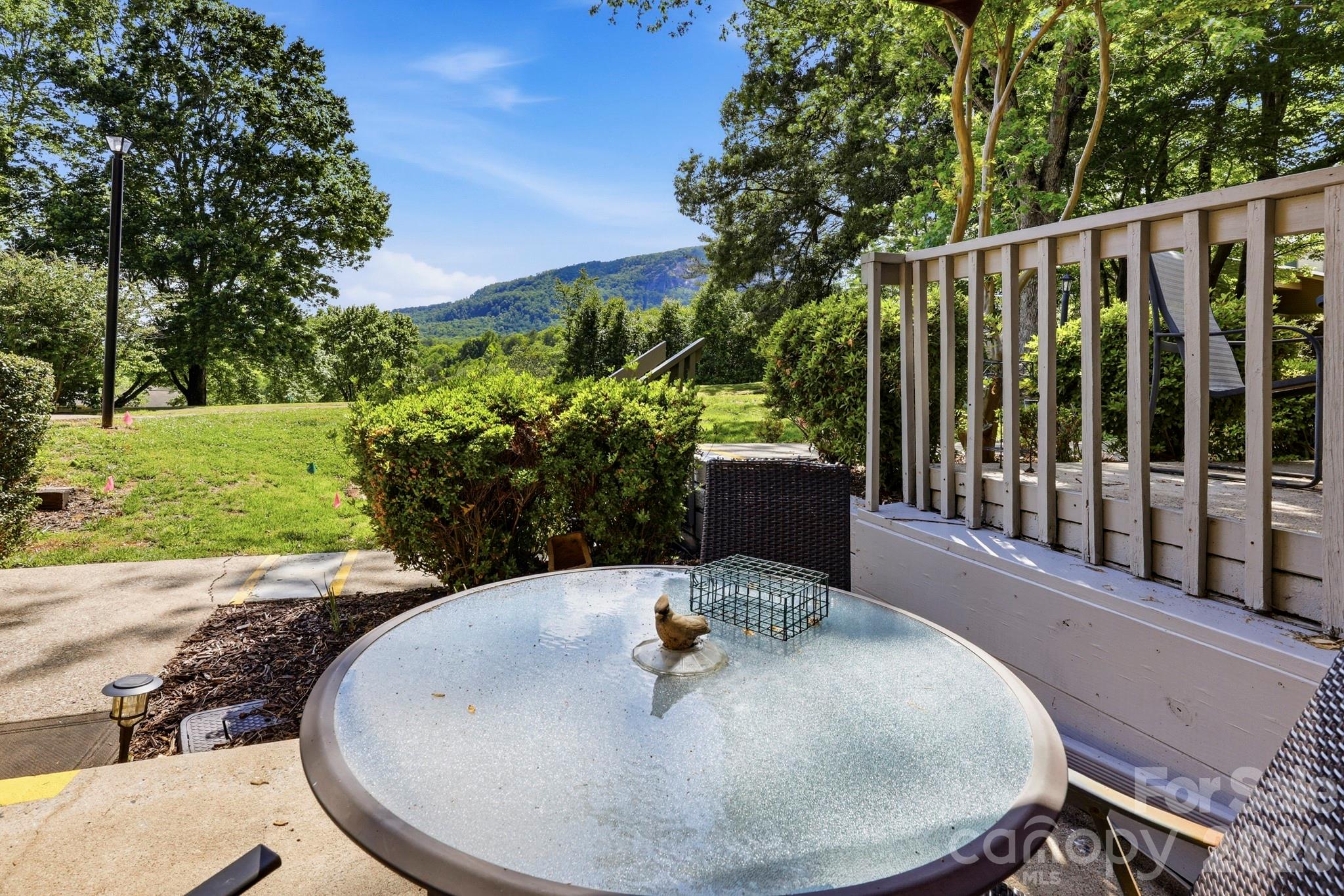 Rumbling Bald on Lake Lure - Residential
