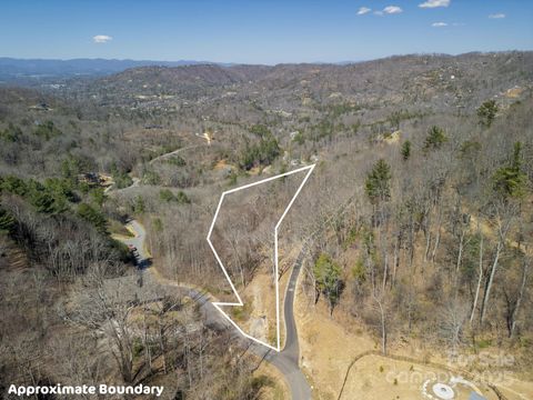 86 Bartrams Walk Drive 14 Asheville NC 28804