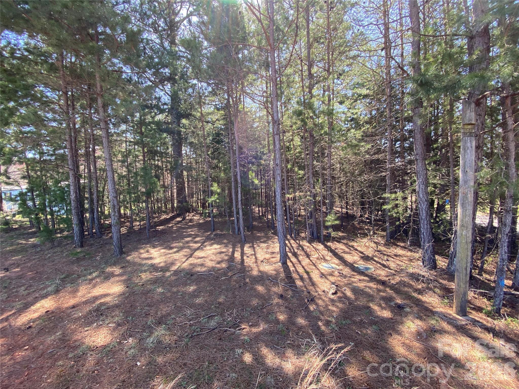 Next to 1670 Buck Oak Road