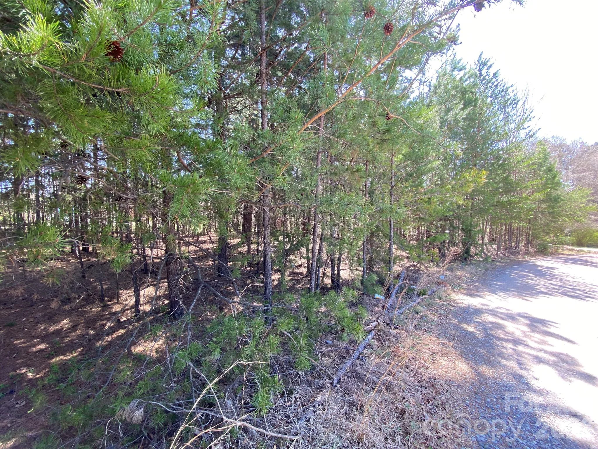 Next to 1670 Buck Oak Road, Lincolnton, NC, 28092