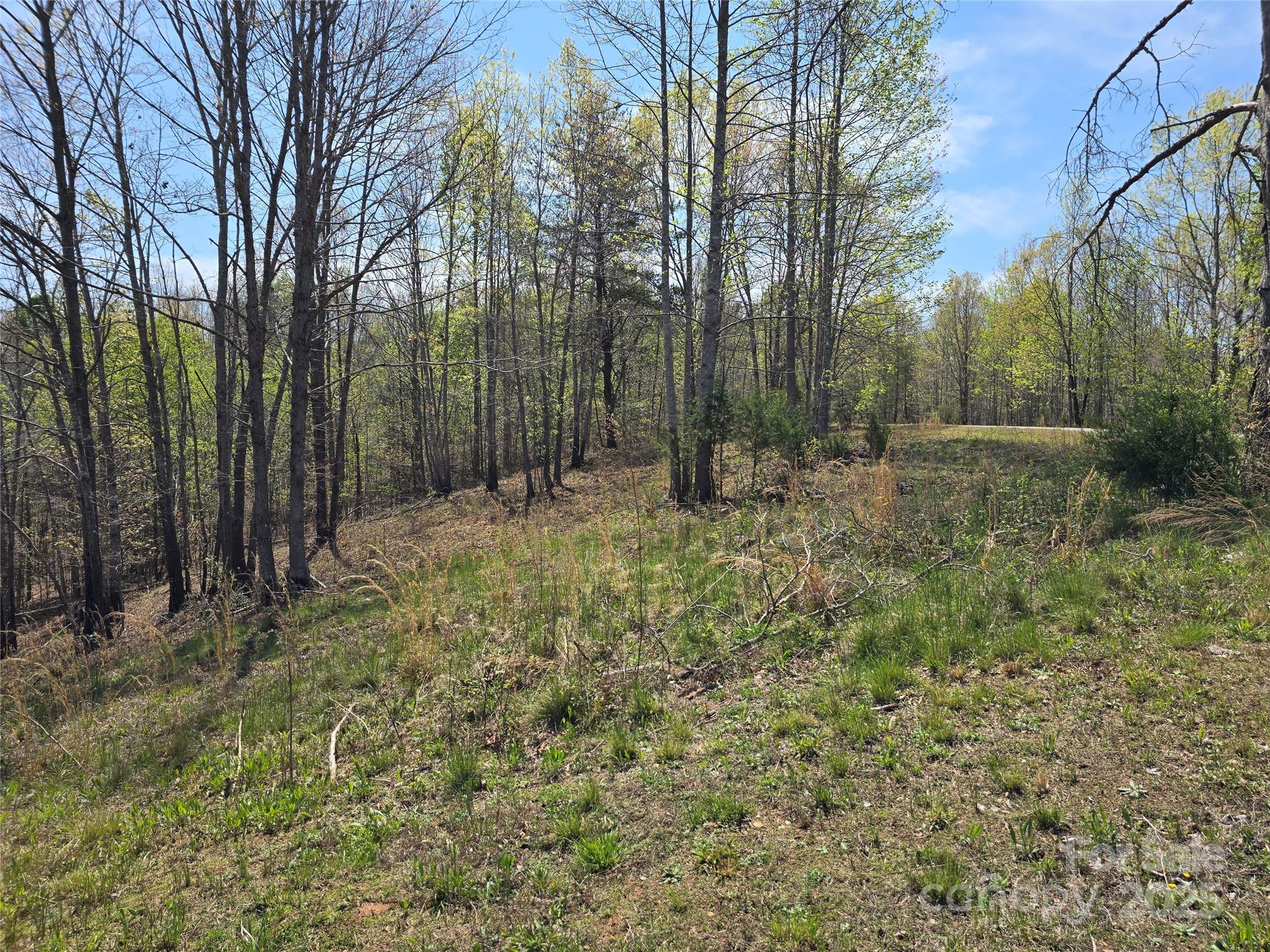 Estates of Greenhill - Land