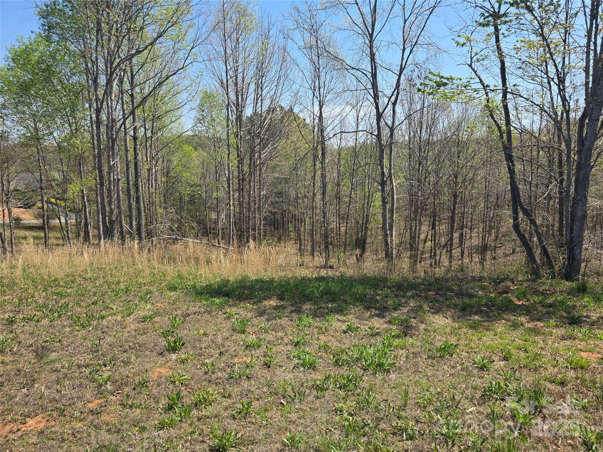 Estates of Greenhill - Land