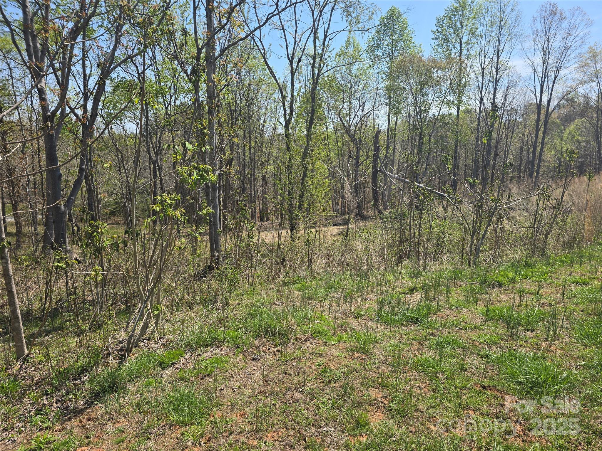 Estates of Greenhill - Land