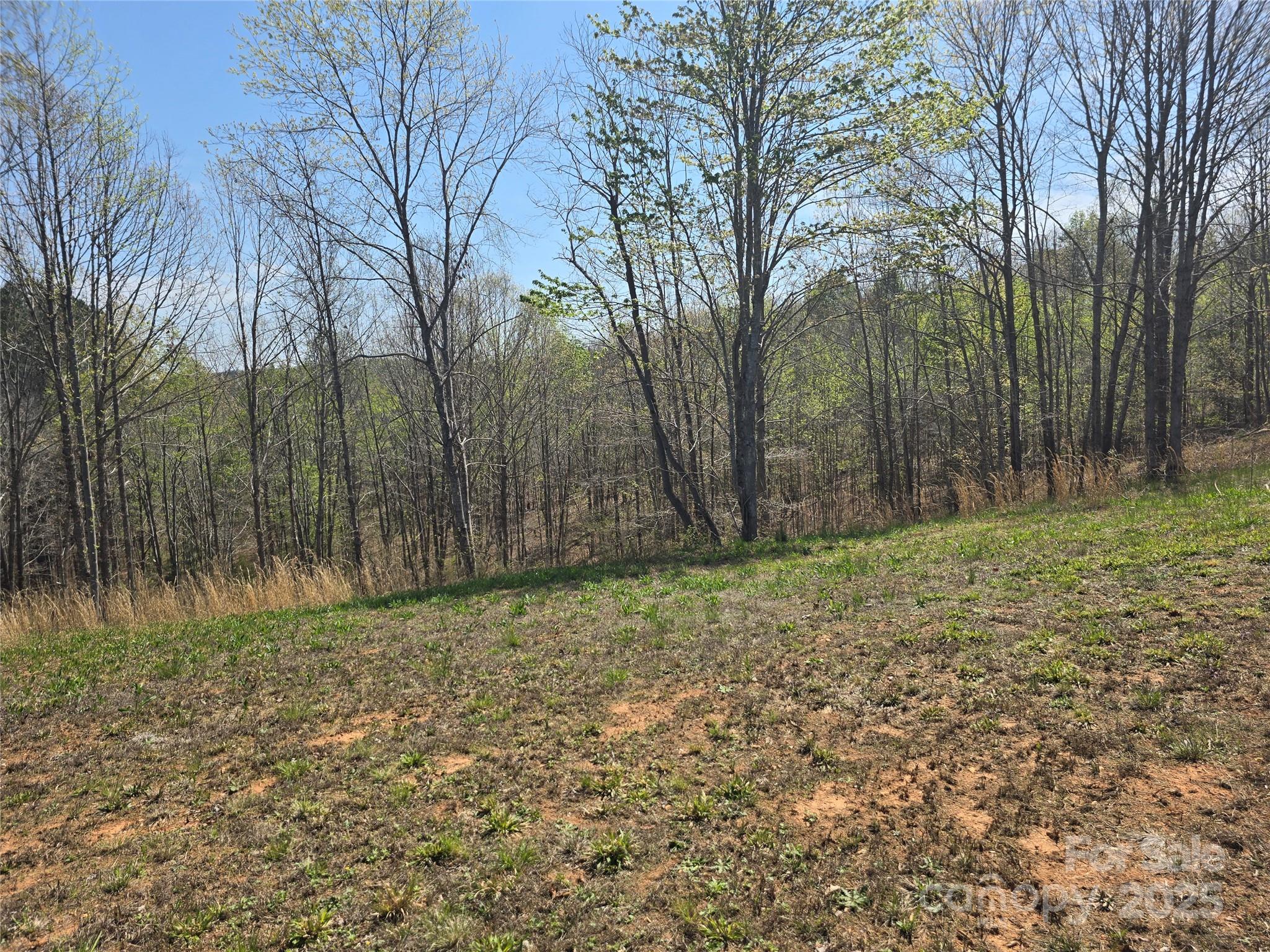 Estates of Greenhill - Land