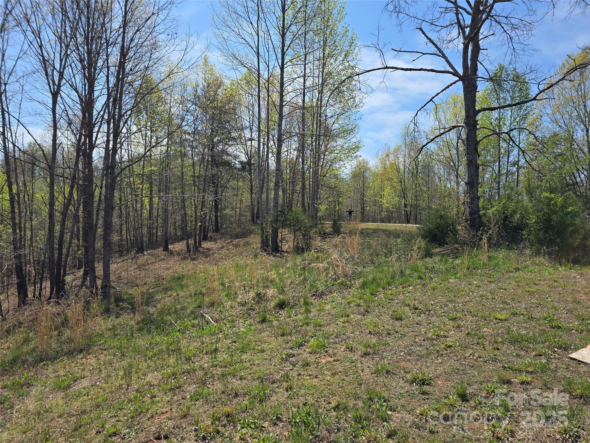 Estates of Greenhill - Land