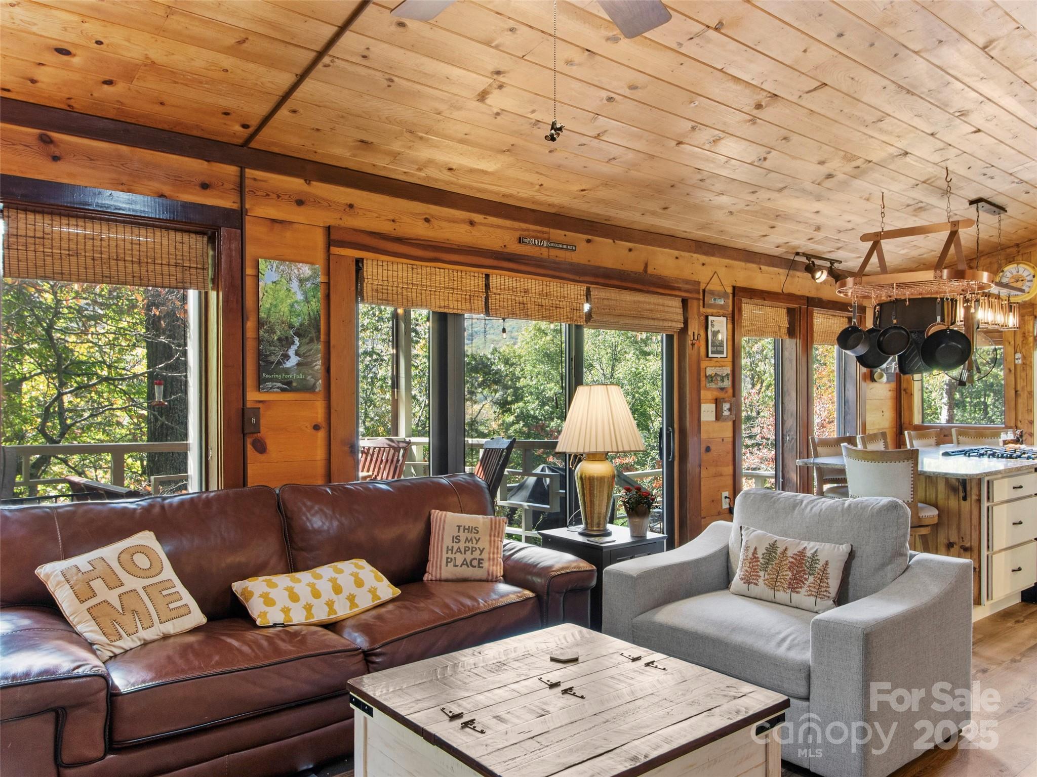 Mt. Mitchell Lands - Residential