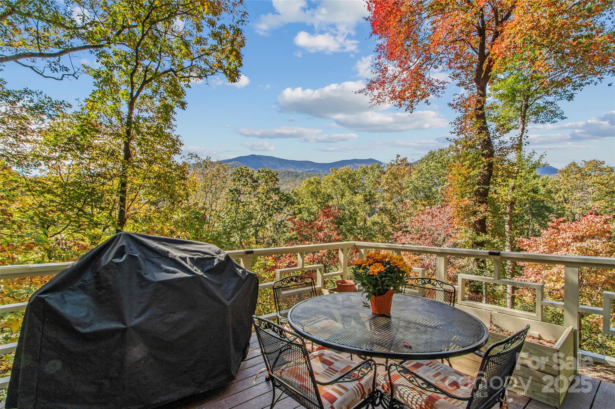 354 Big Ridge Road
