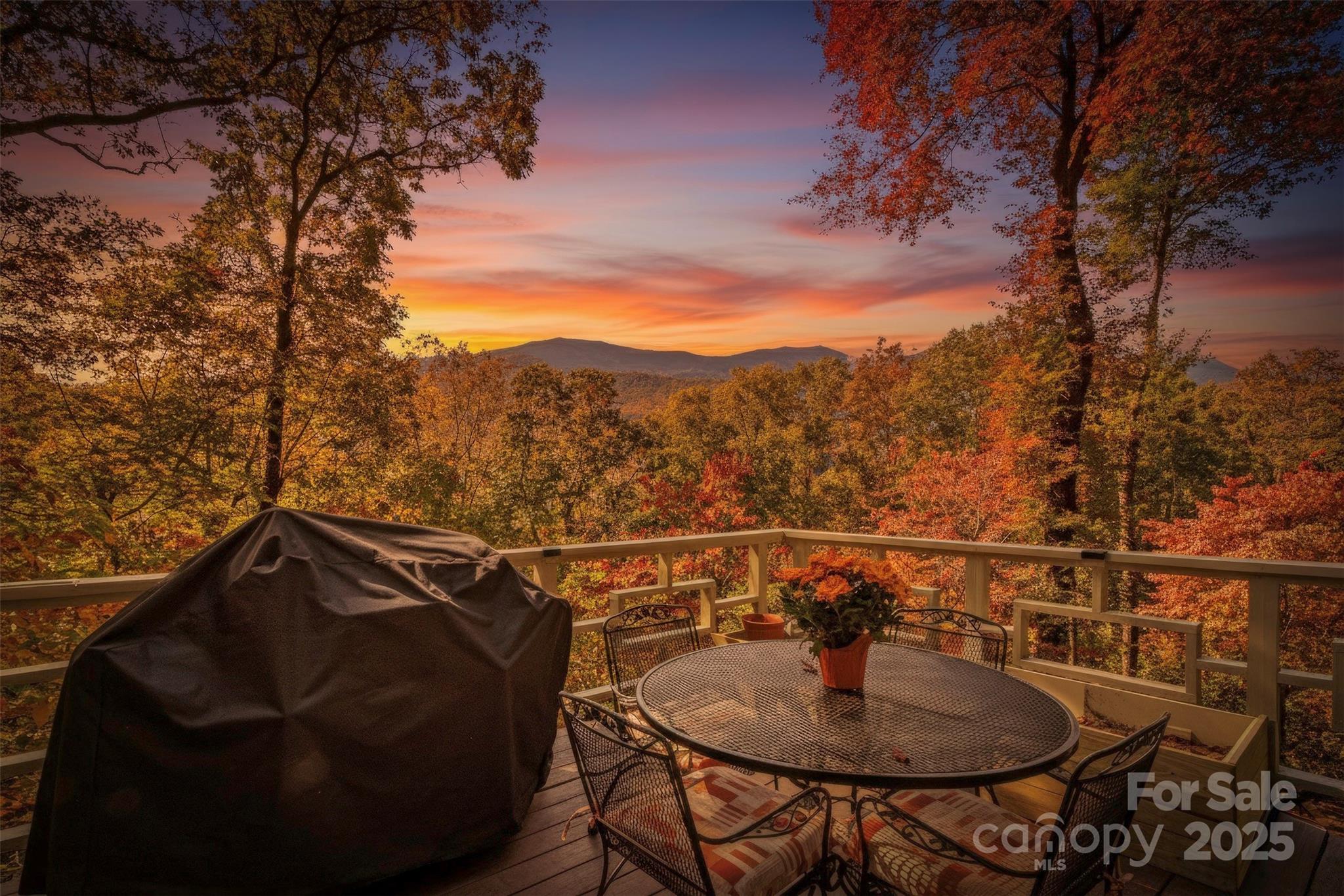Mt. Mitchell Lands - Residential