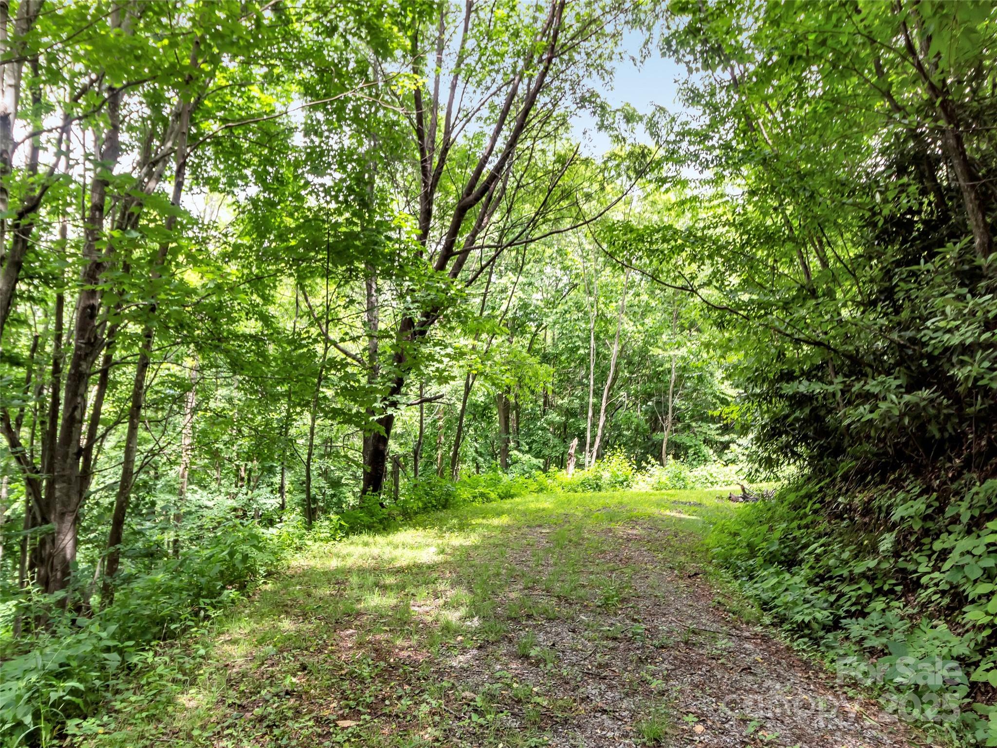 32 Sallywood Trail
