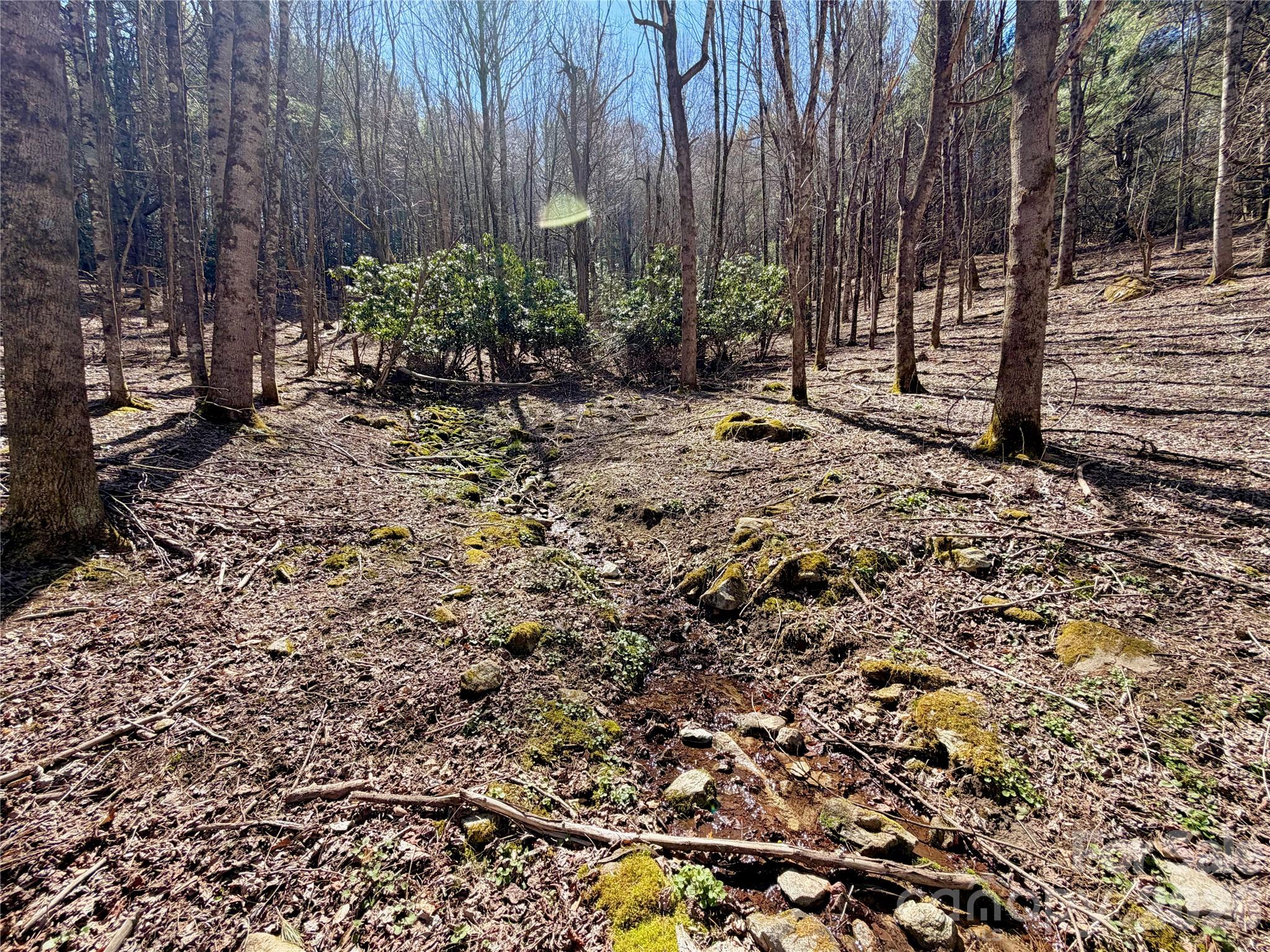 TBD George Hayes Road Tract B