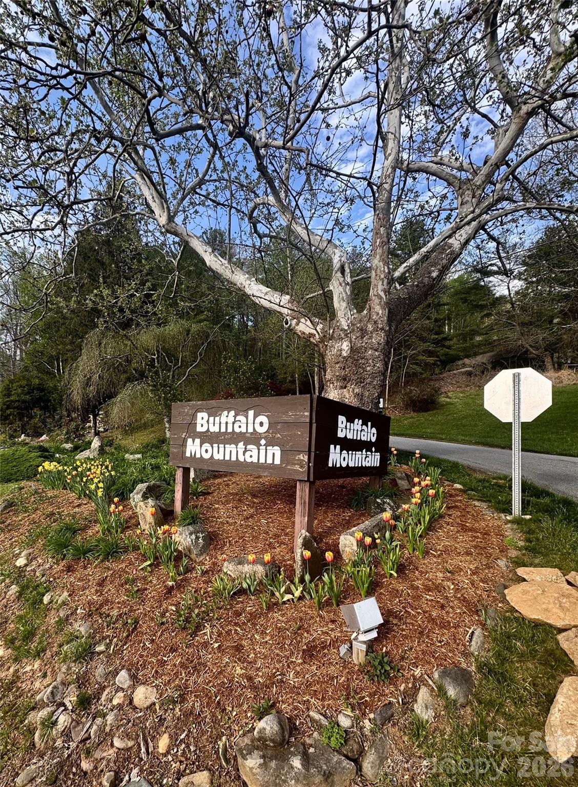 Buffalo Mountain - Residential