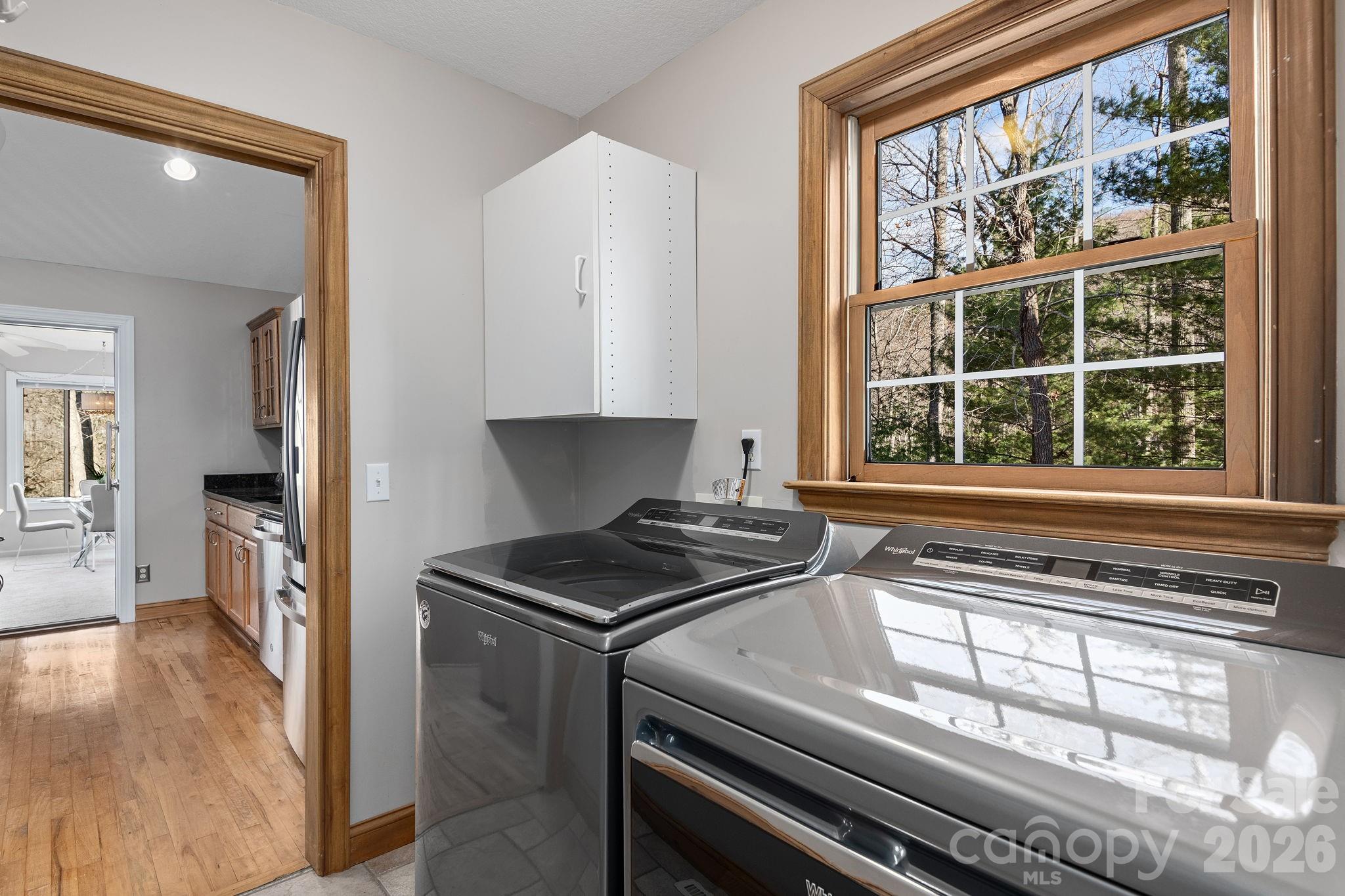 Buffalo Mountain - Residential