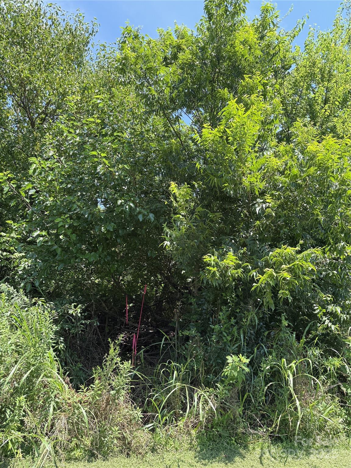 Lot 4 AND 5 W Elliot Street