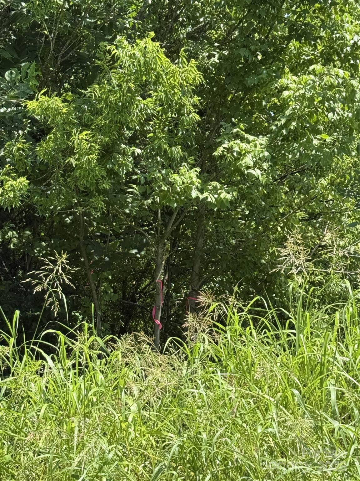 Lot 4 AND 5 W Elliot Street