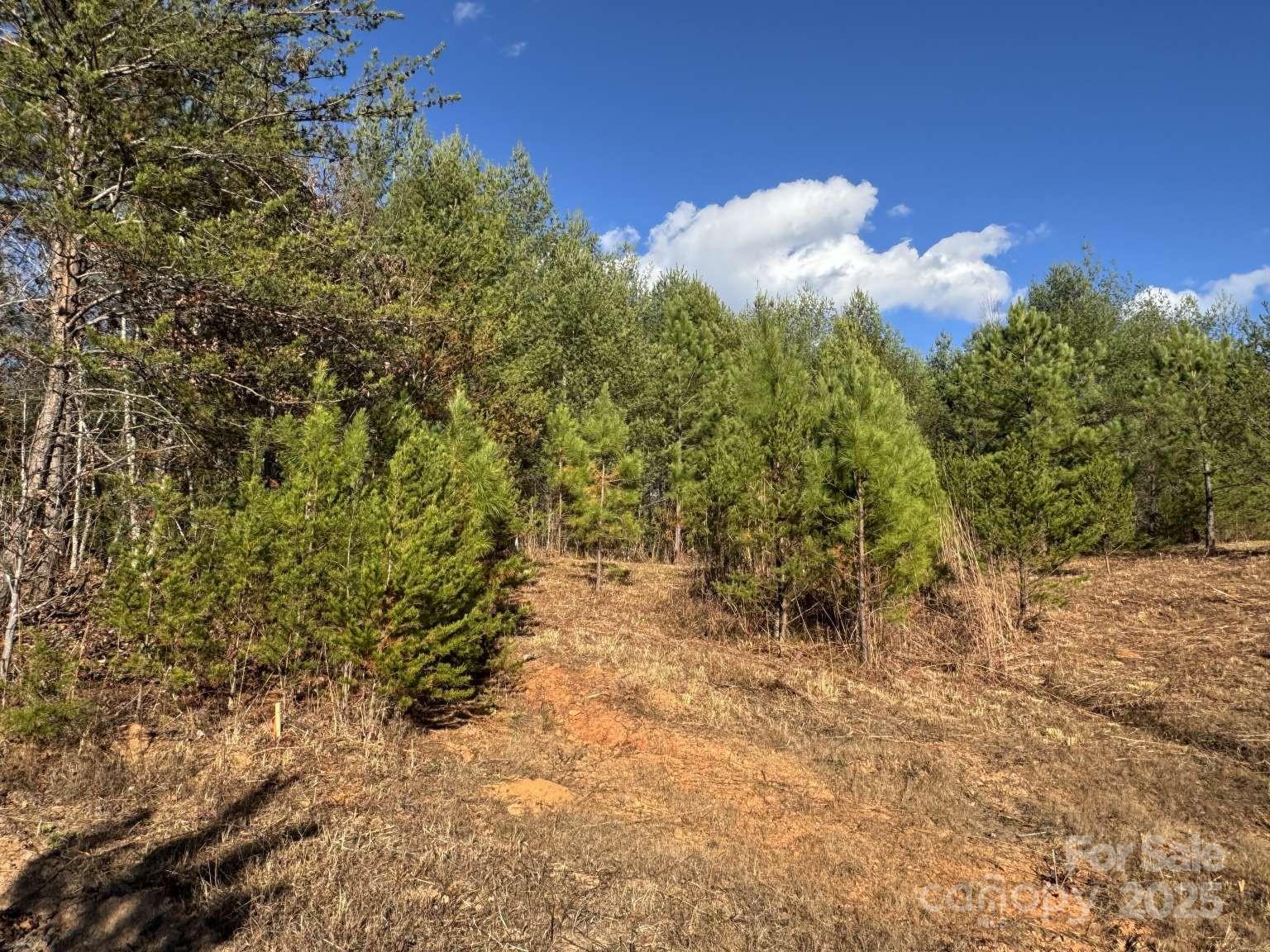 The Coves Mountain River Club - Land