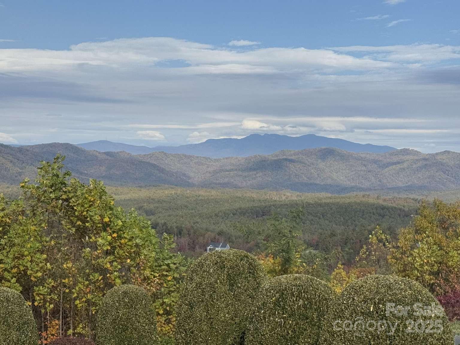 The Coves Mountain River Club - Land