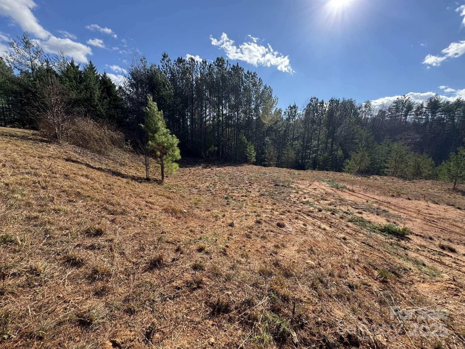 The Coves Mountain River Club - Land