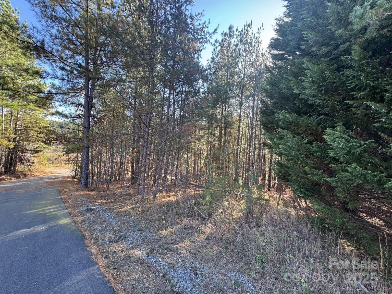 The Coves Mountain River Club - Land