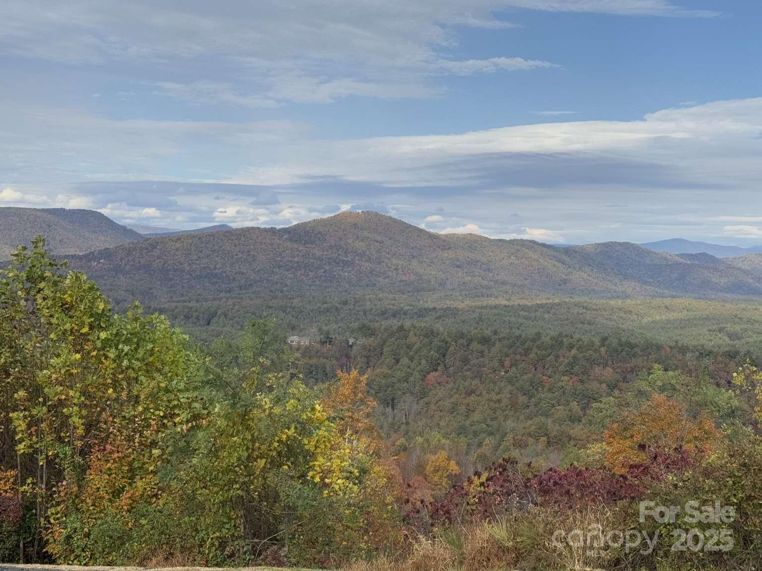 The Coves Mountain River Club - Land