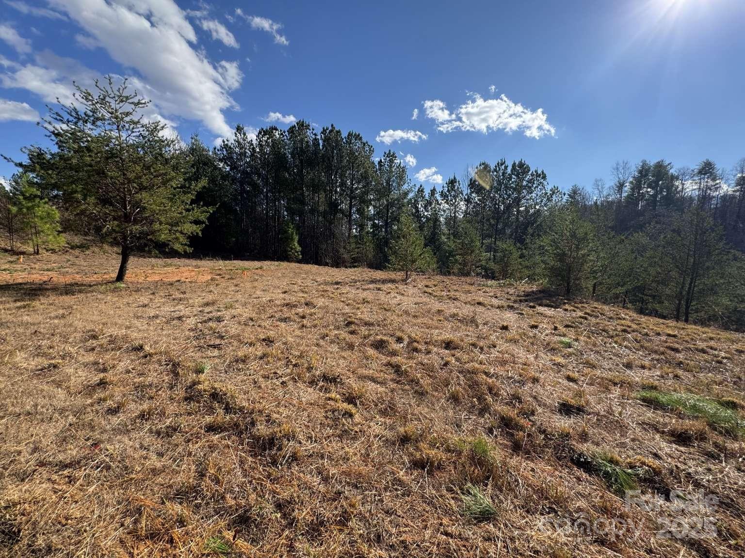 The Coves Mountain River Club - Land