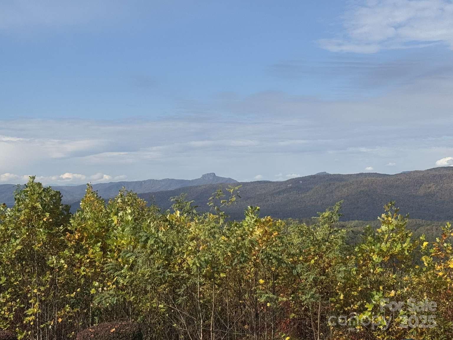 The Coves Mountain River Club - Land