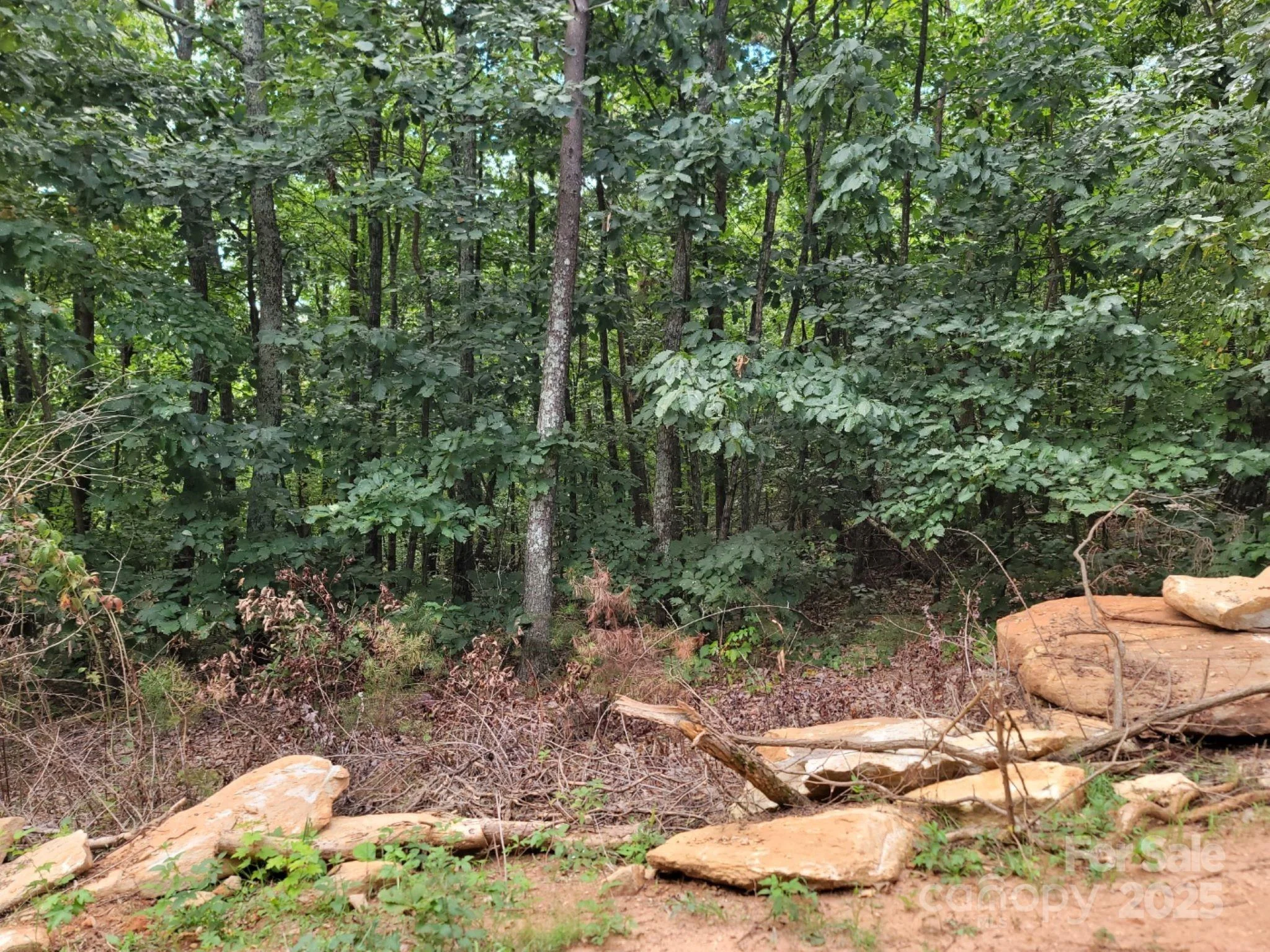 219 Judy Road, Casar, NC, 28020