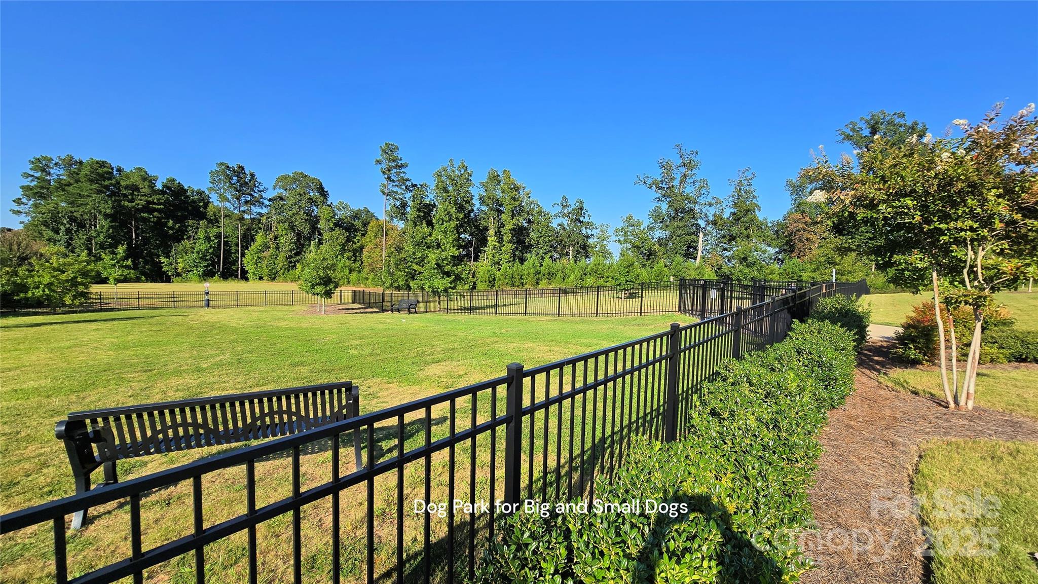 Imagery On Mtn Island - Residential