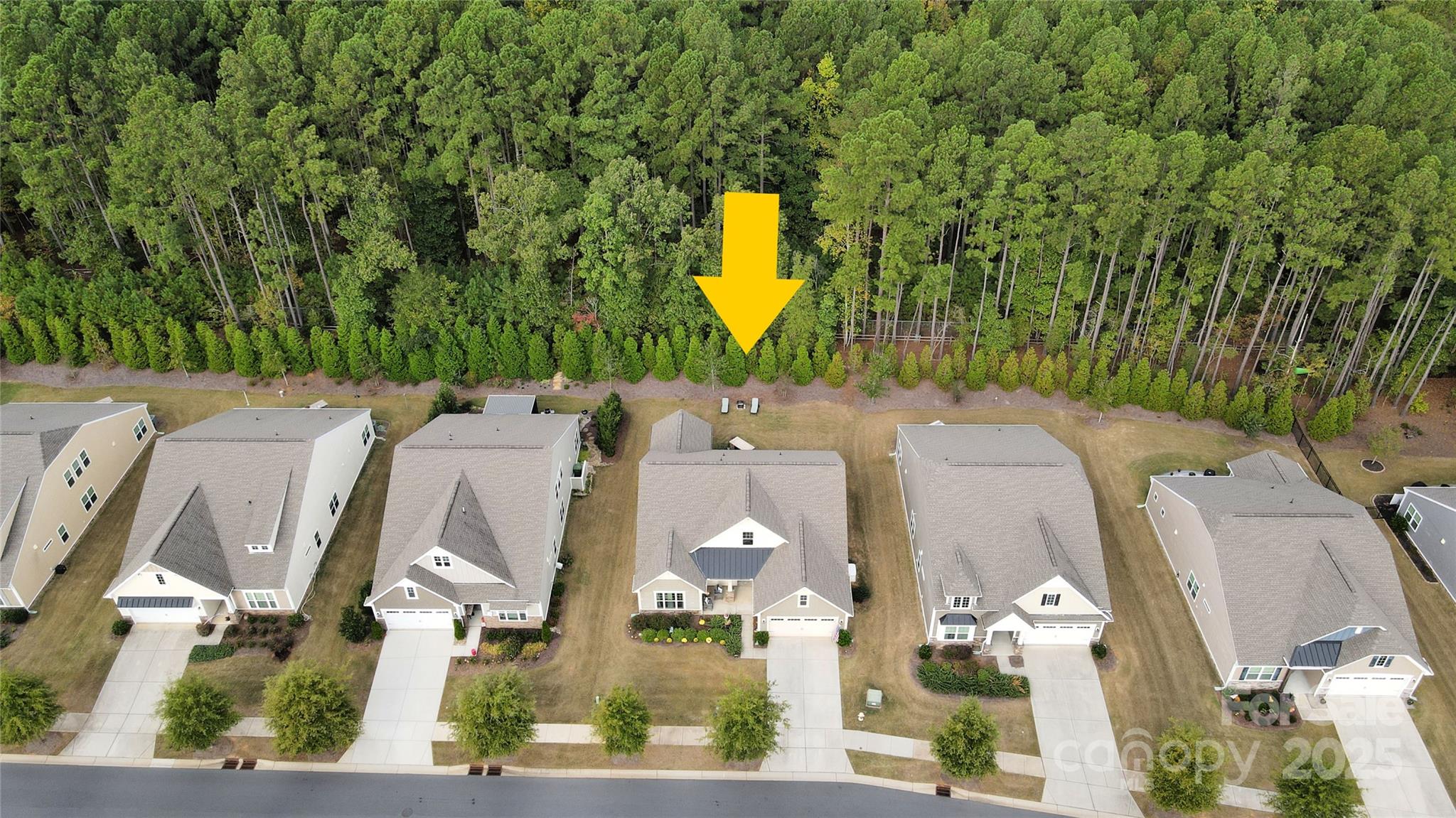 120 Van Gogh Trail