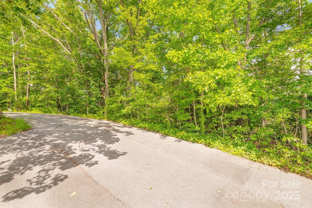 Pheasant Ridge - Land