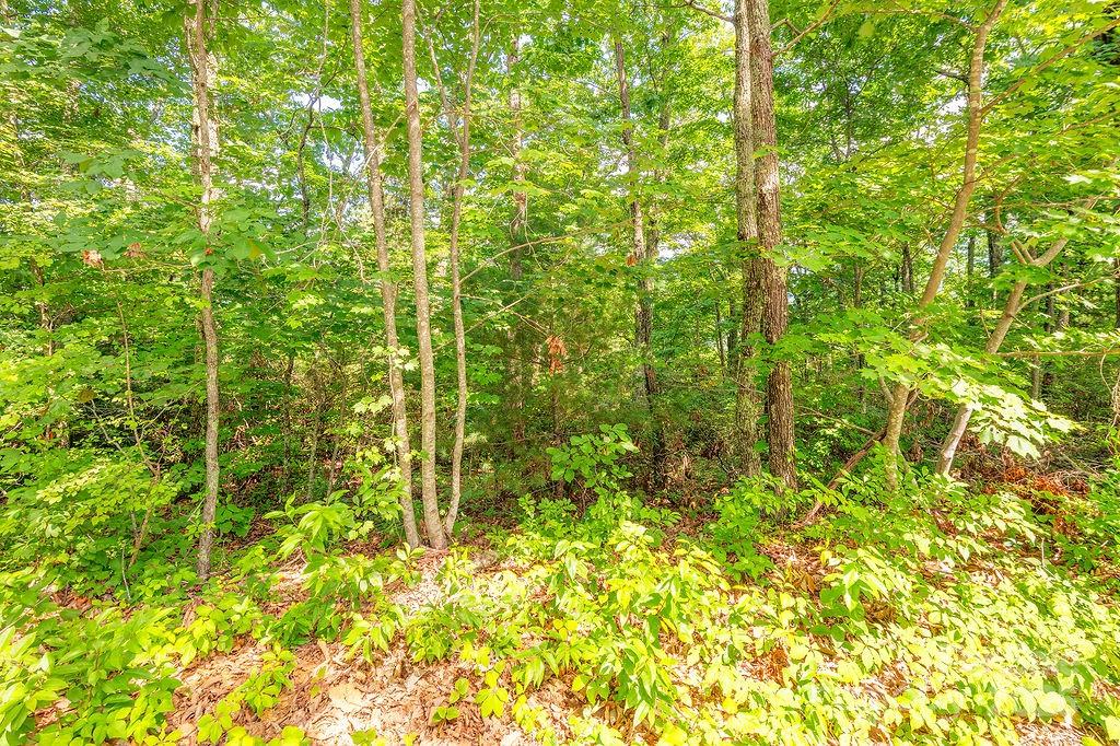 Pheasant Ridge - Land