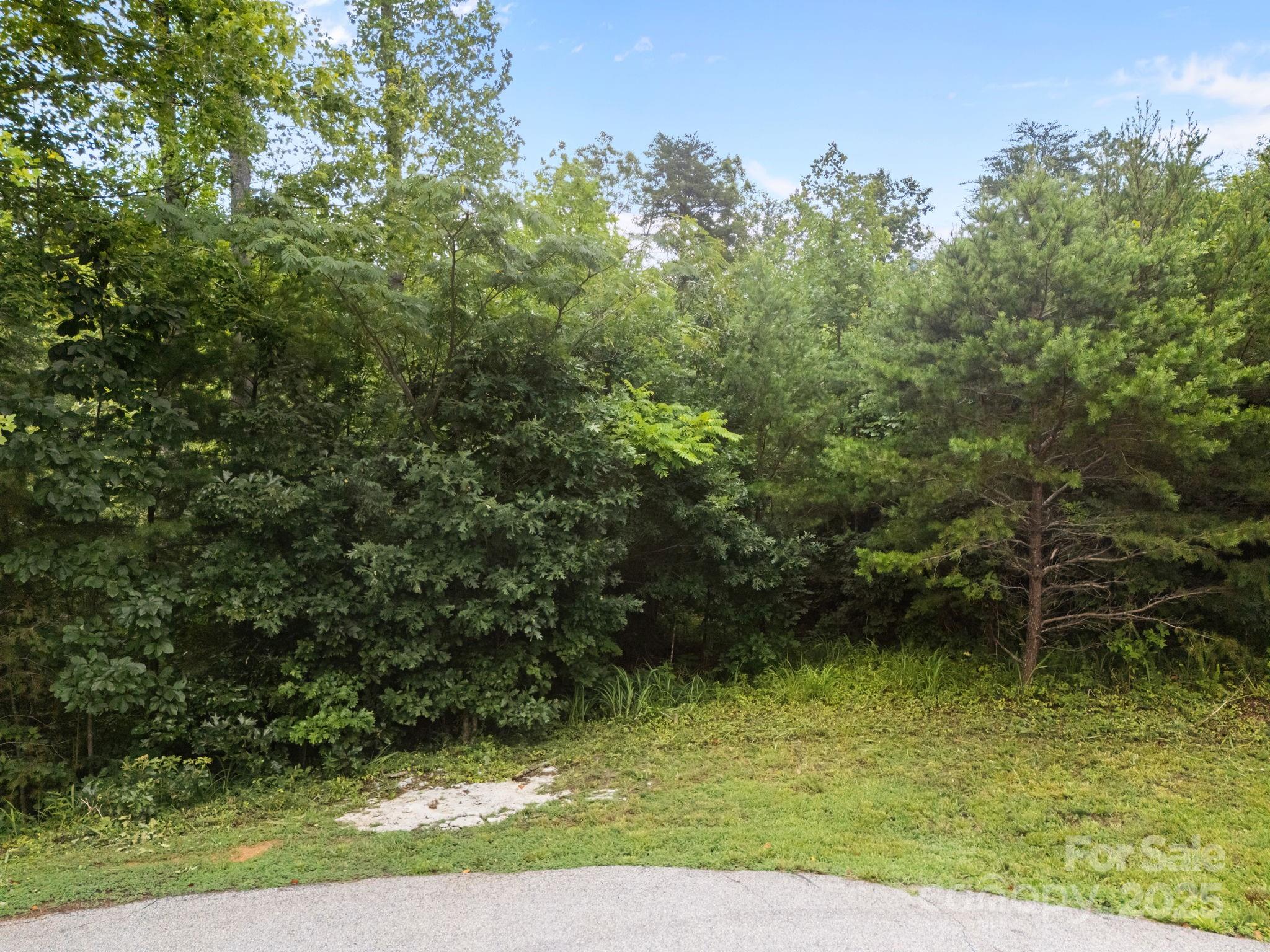 00000 Deer Jump Trail 351