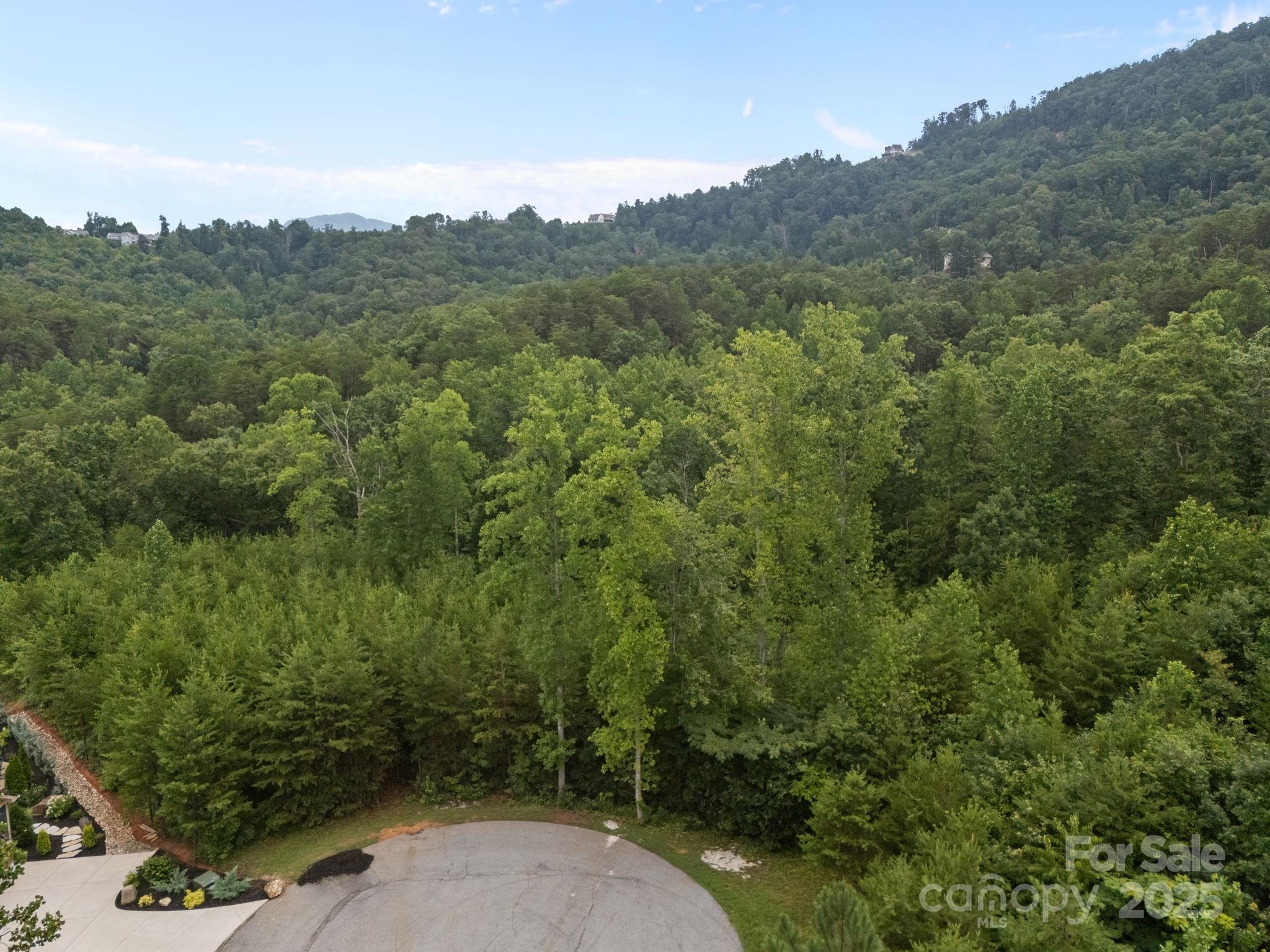 00000 Deer Jump Trail 351