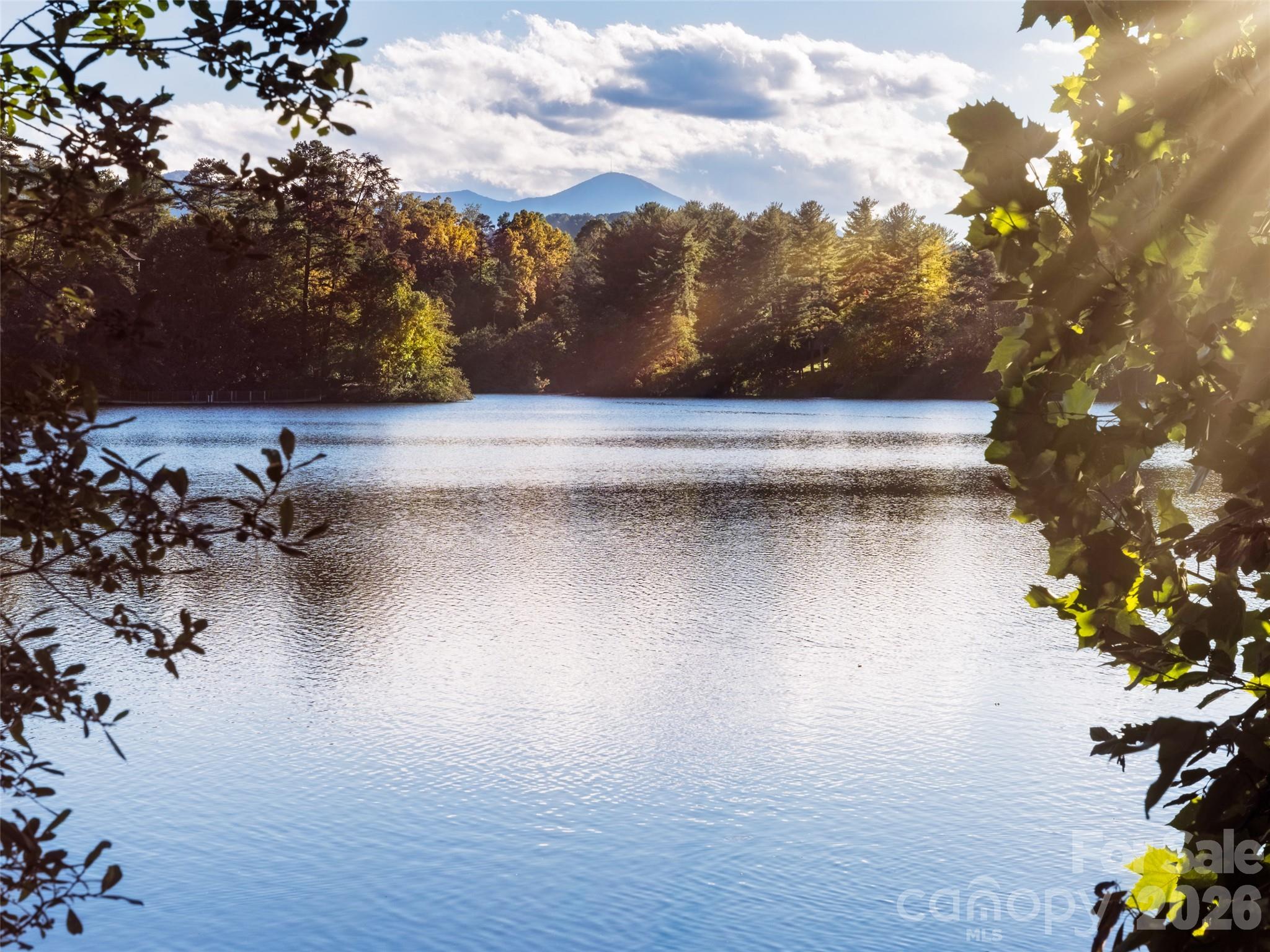 Biltmore Lake - Residential