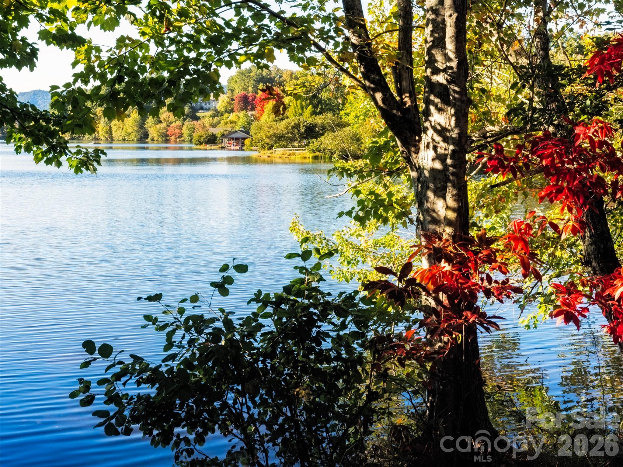 Biltmore Lake - Residential