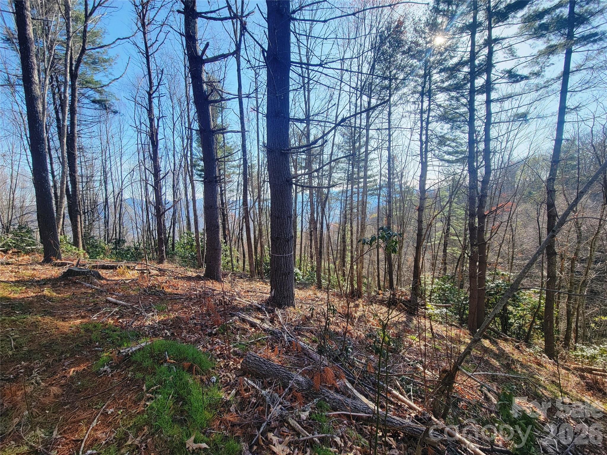 111 Digging Seng Trail 138