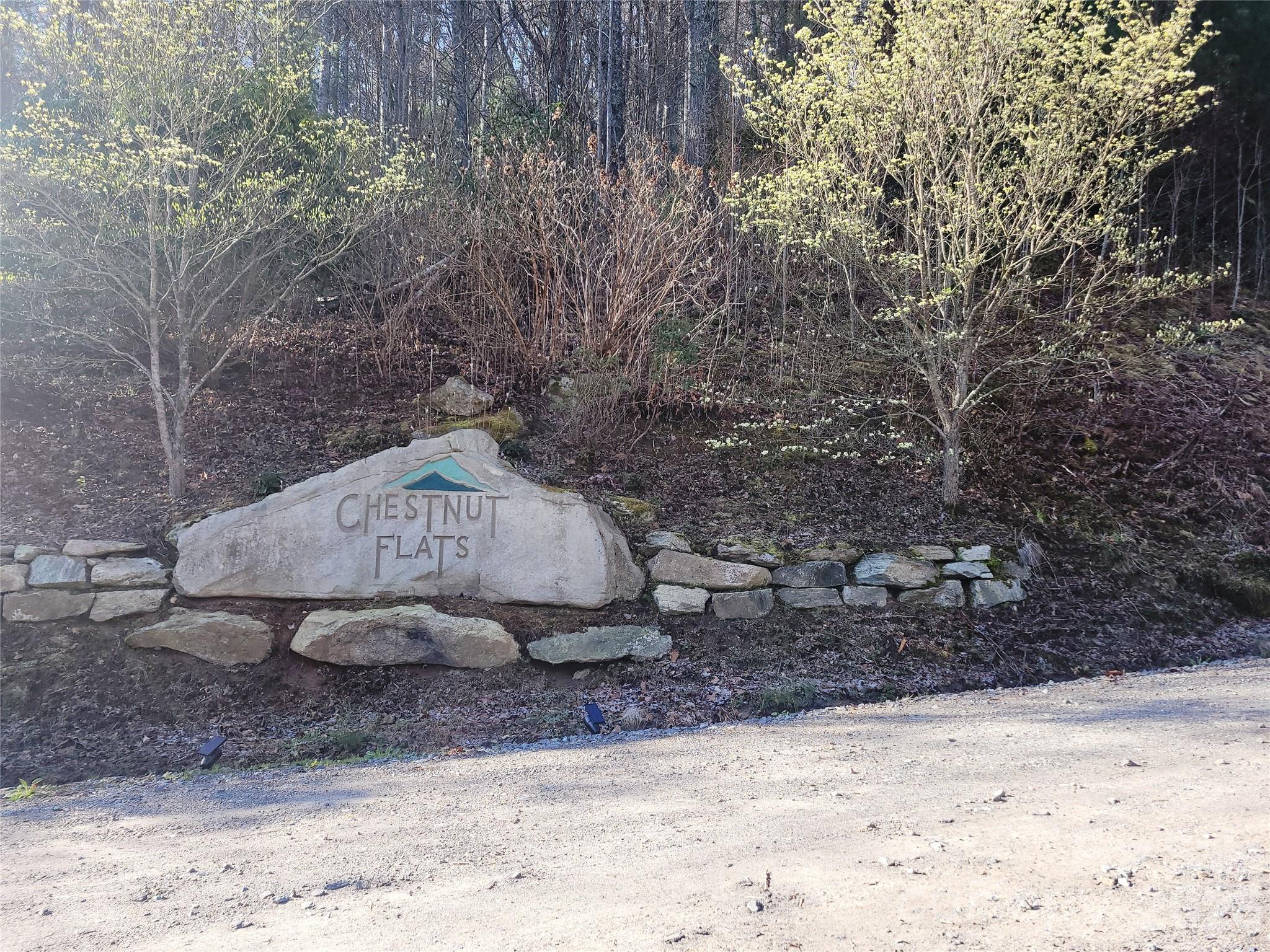 Preserve at Chestnut Flats - Land