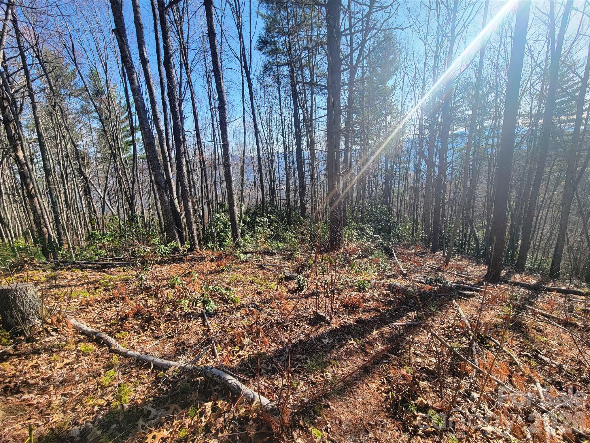111 Digging Seng Trail 138
