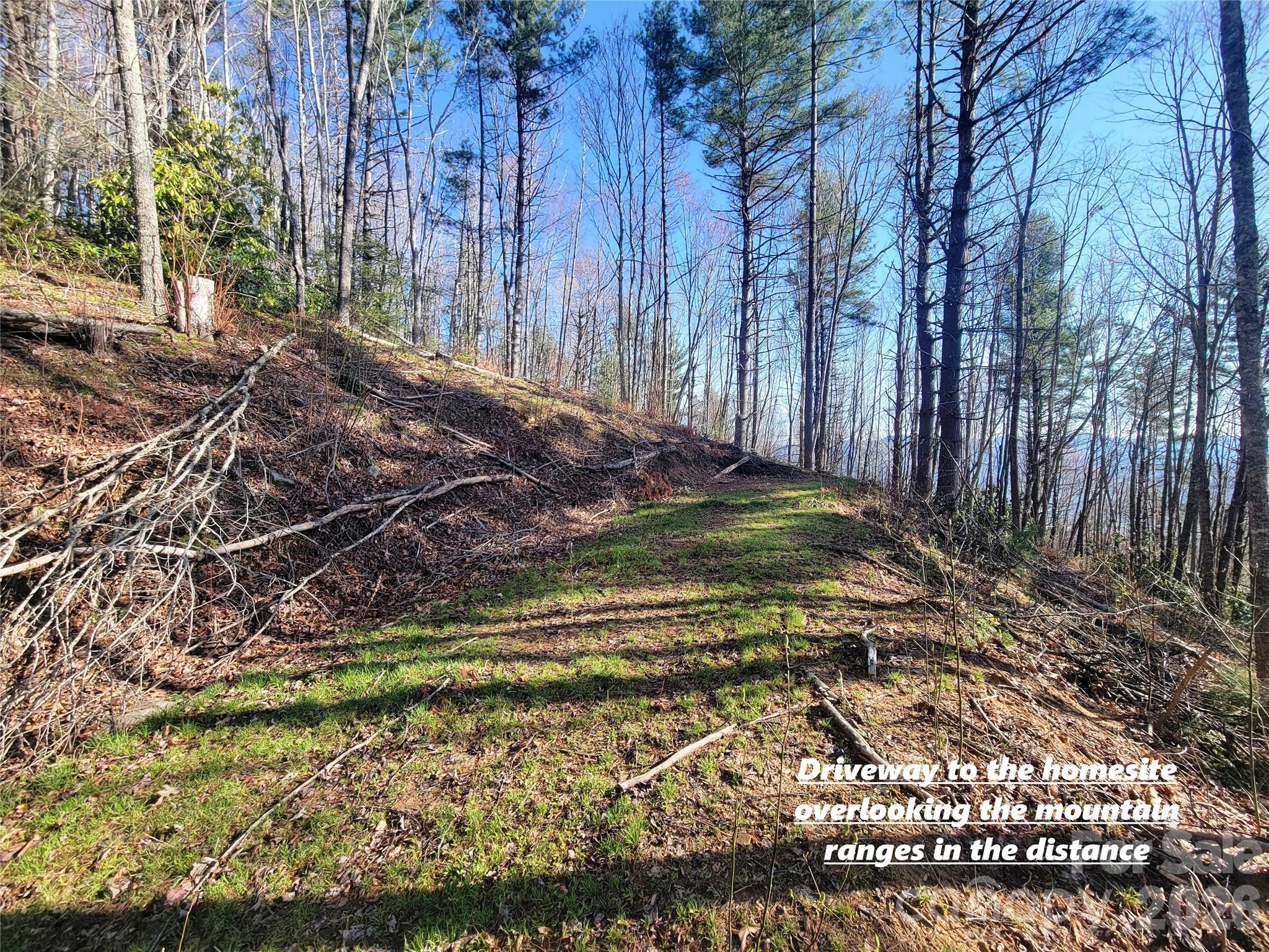 Preserve at Chestnut Flats - Land