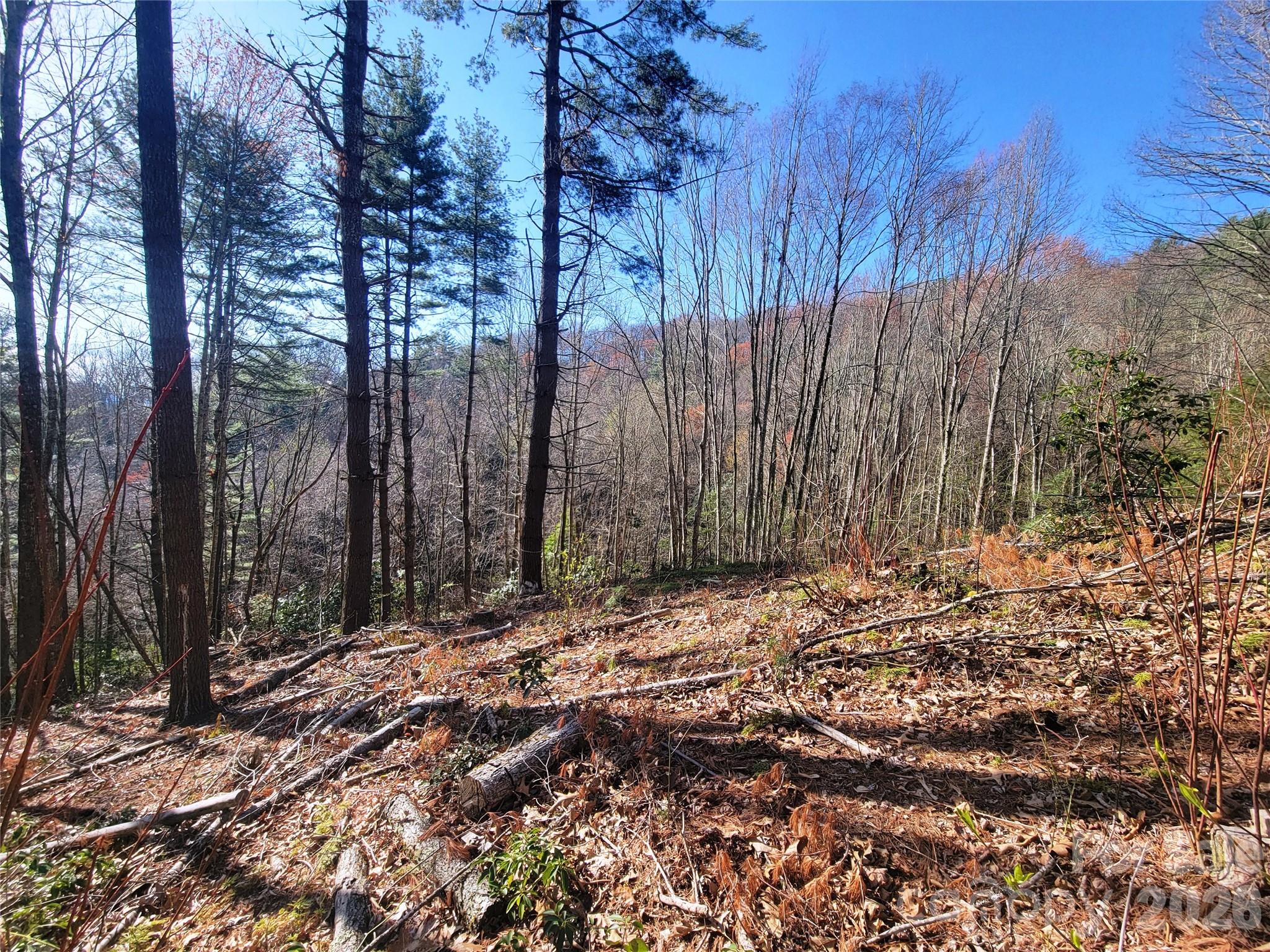 Preserve at Chestnut Flats - Land