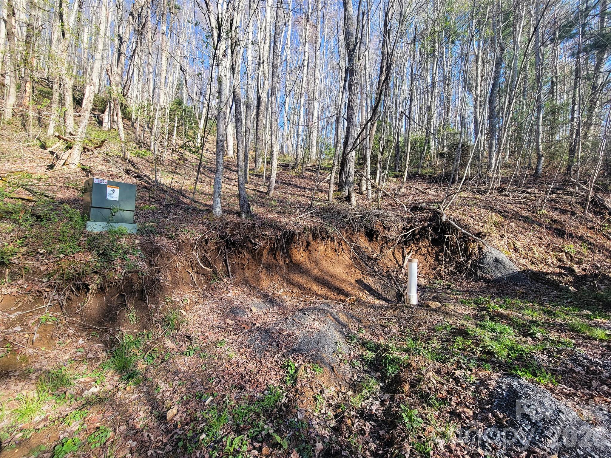 111 Digging Seng Trail 138