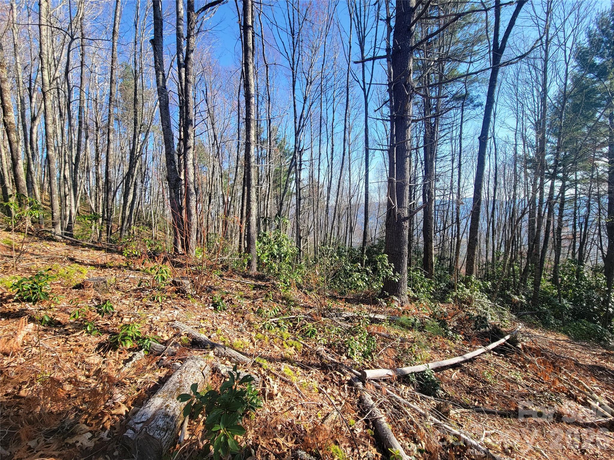 Preserve at Chestnut Flats - Land