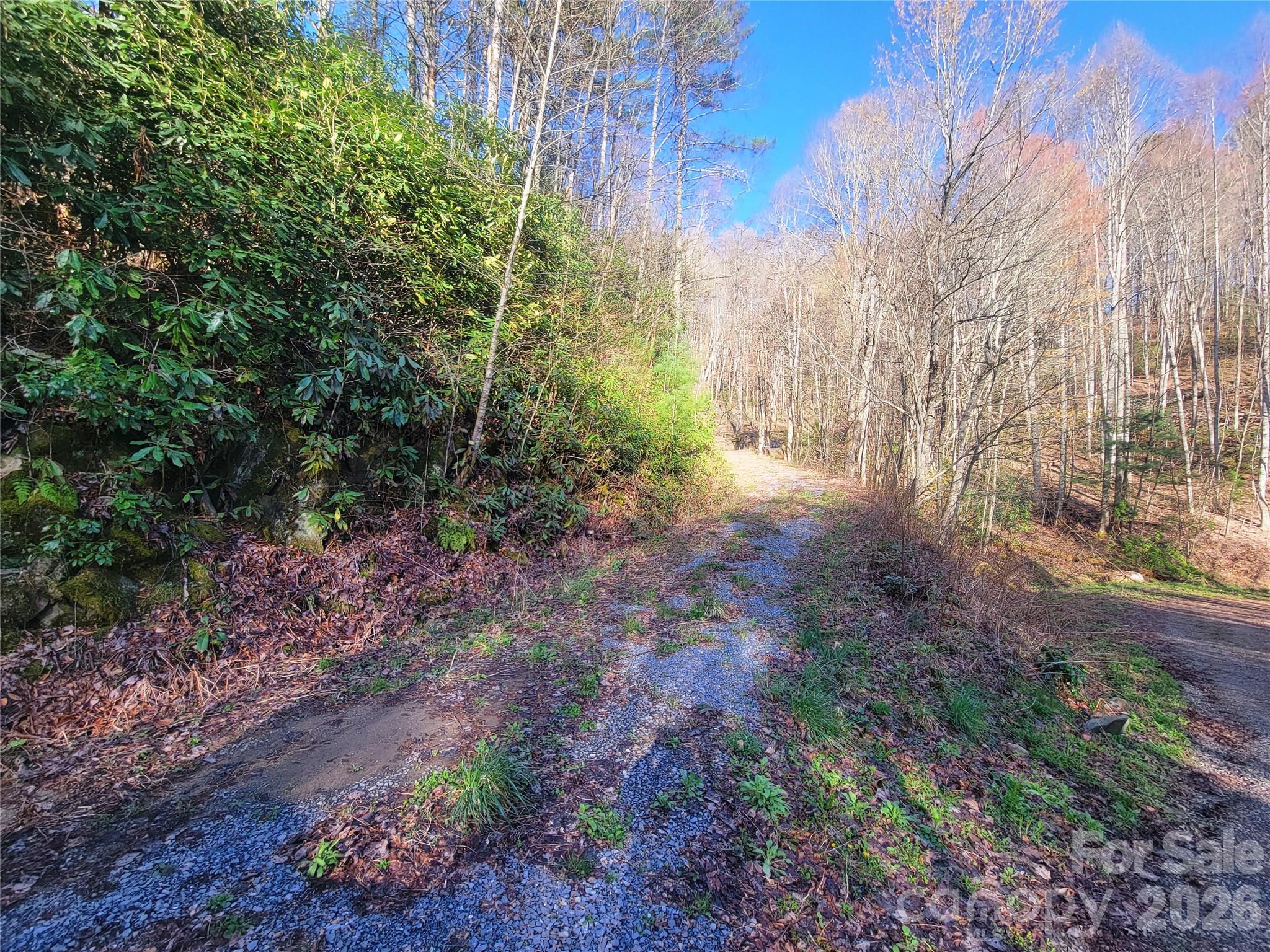 Preserve at Chestnut Flats - Land