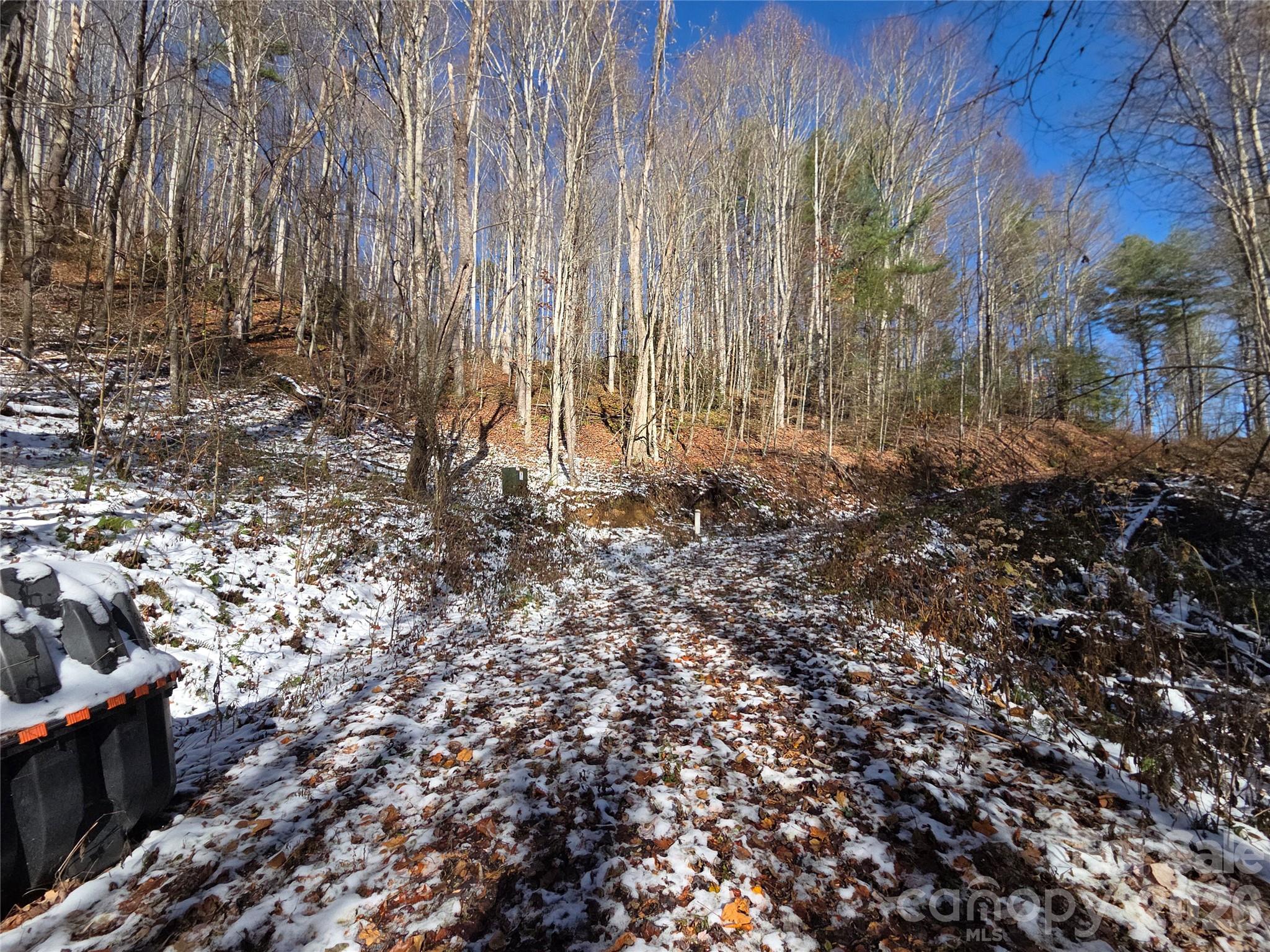 Preserve at Chestnut Flats - Land