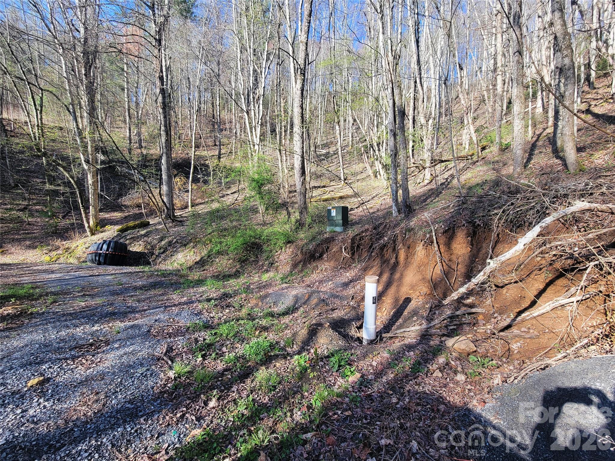 Preserve at Chestnut Flats - Land