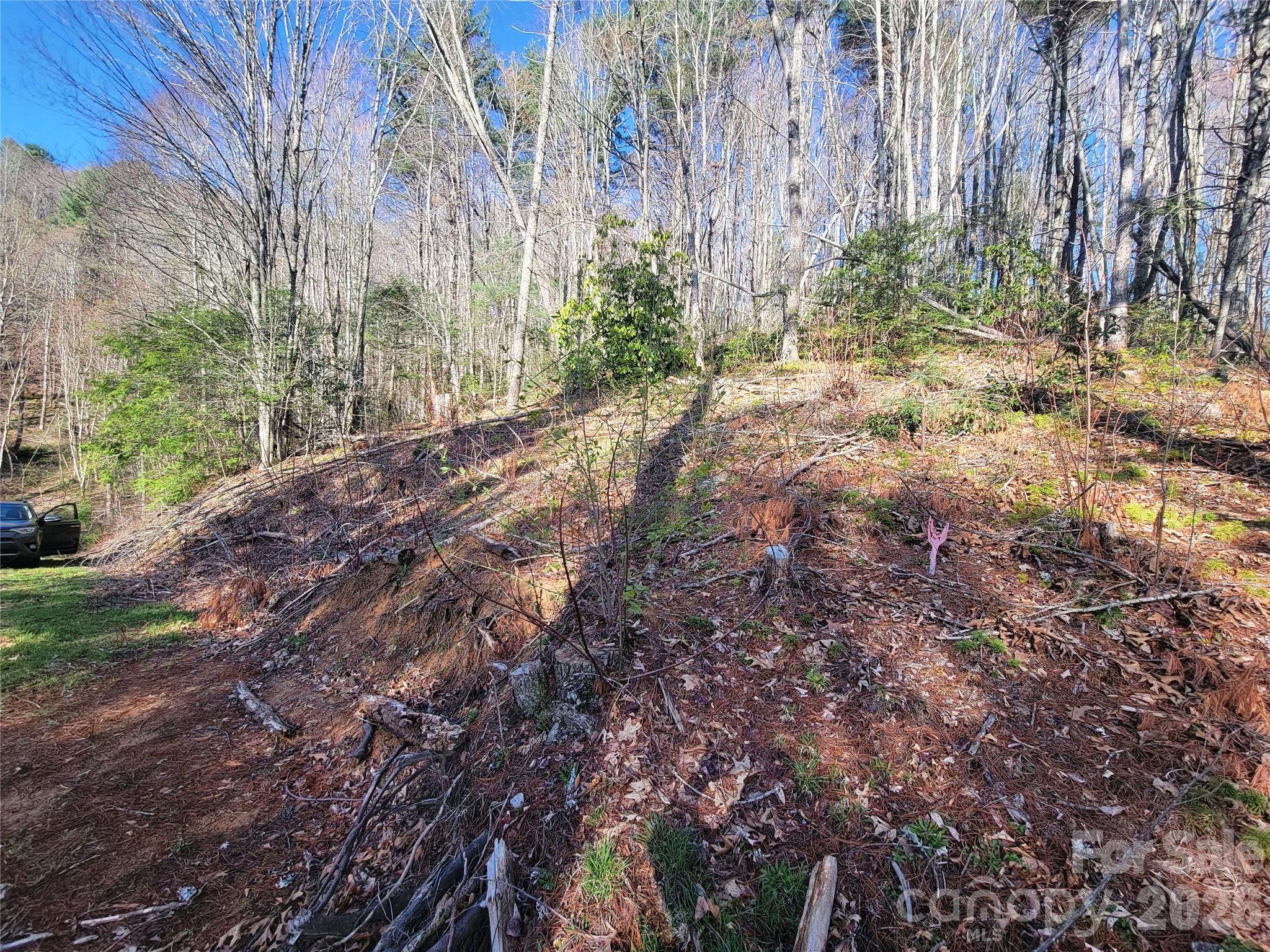 Preserve at Chestnut Flats - Land